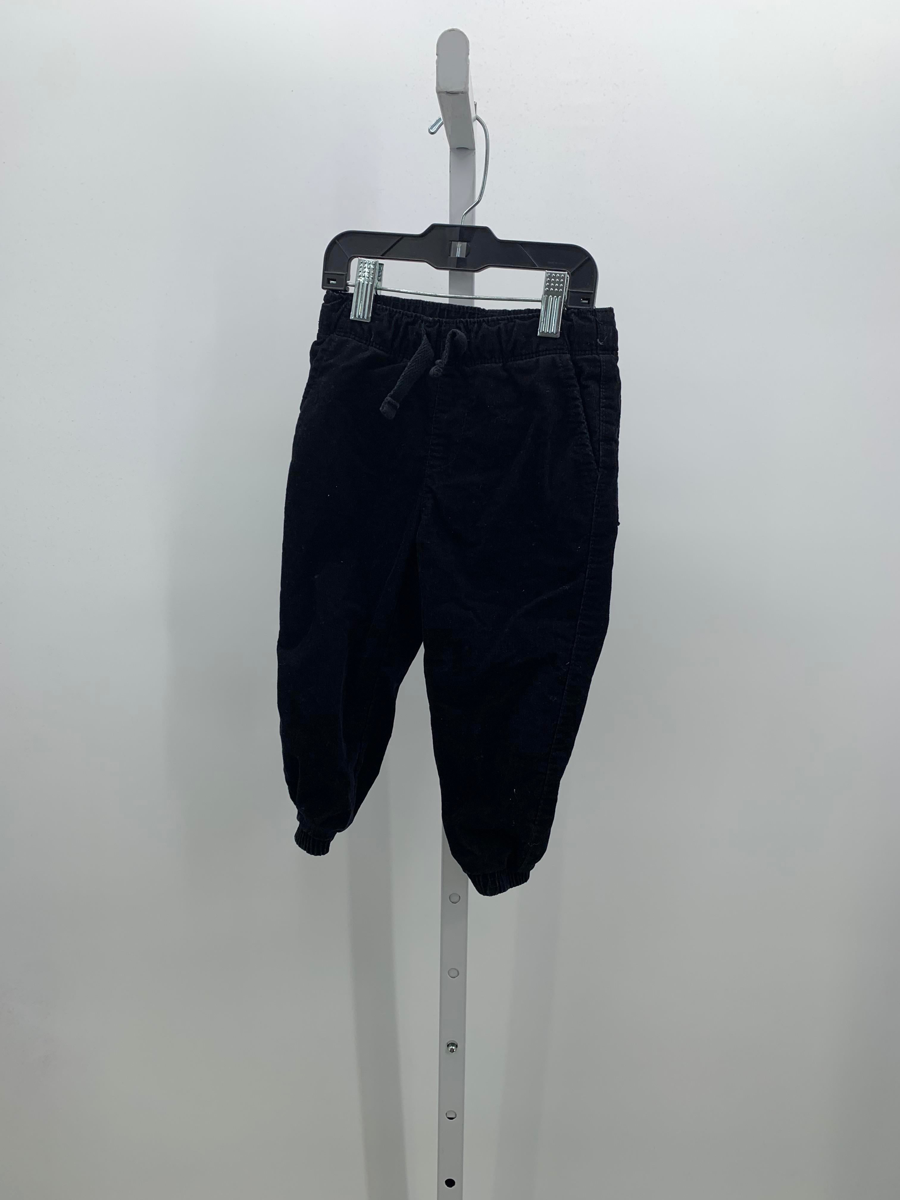 DRAW WAIST LINED PANTS
