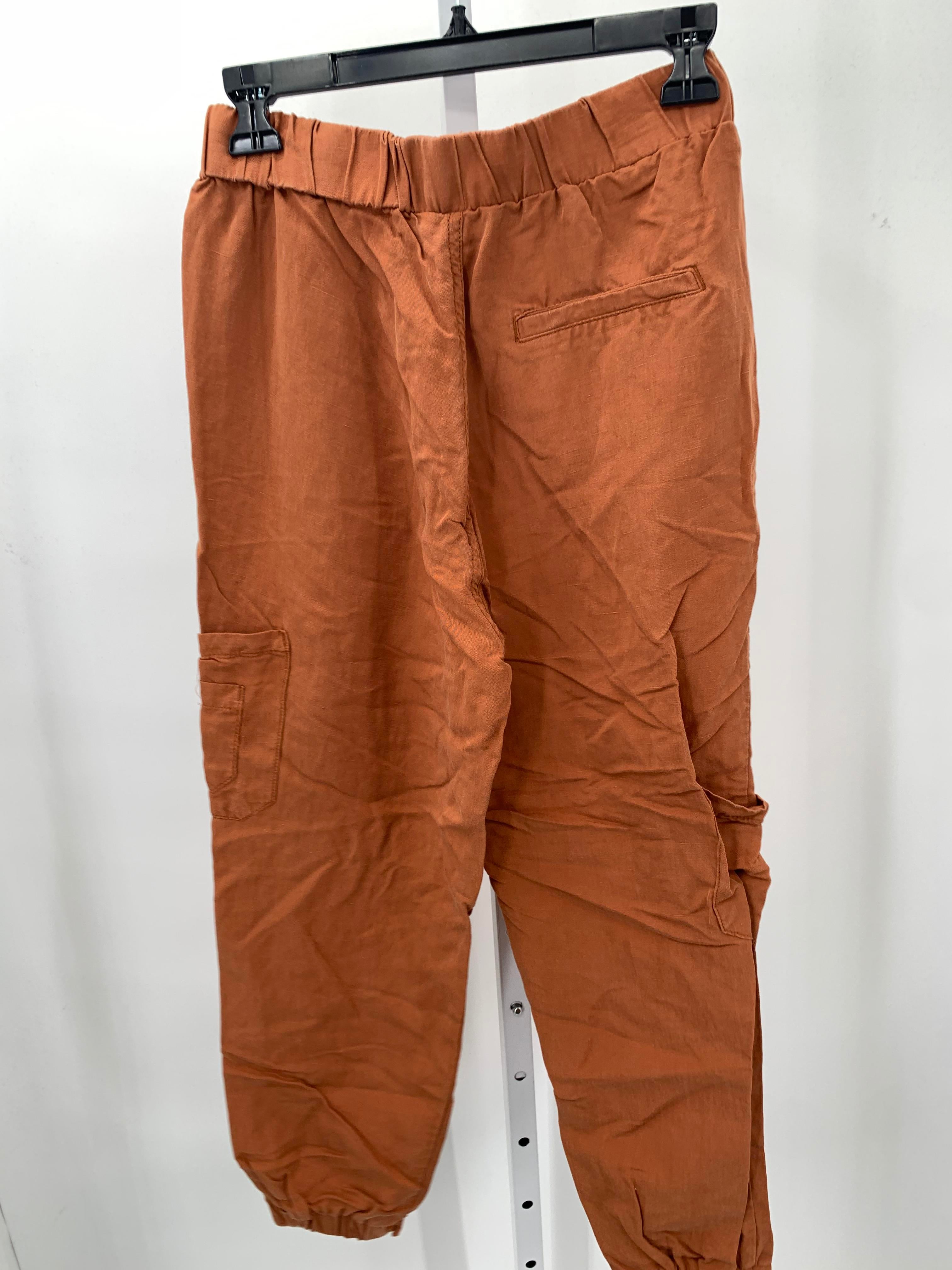 Zara Size Small Misses Pants
