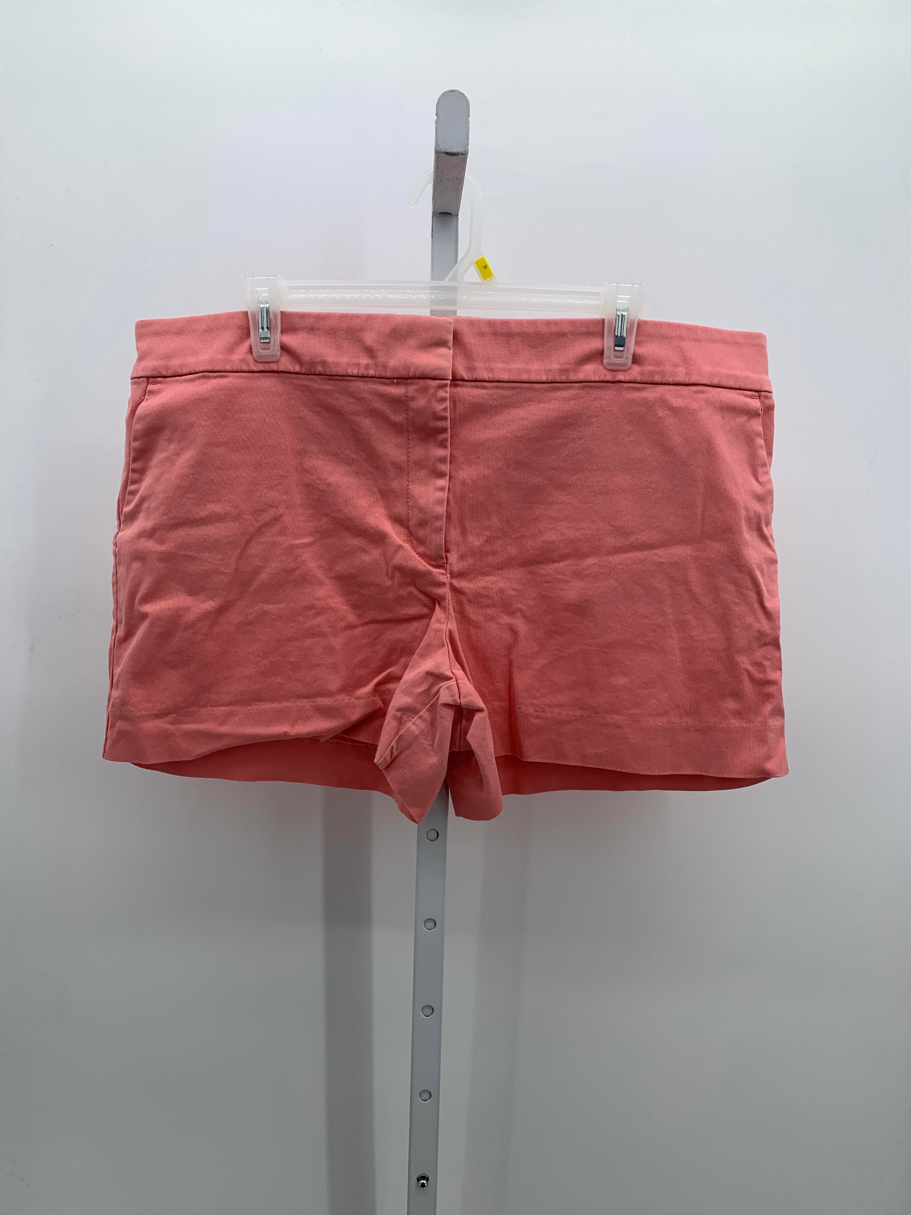 Loft Size 16 Misses Shorts