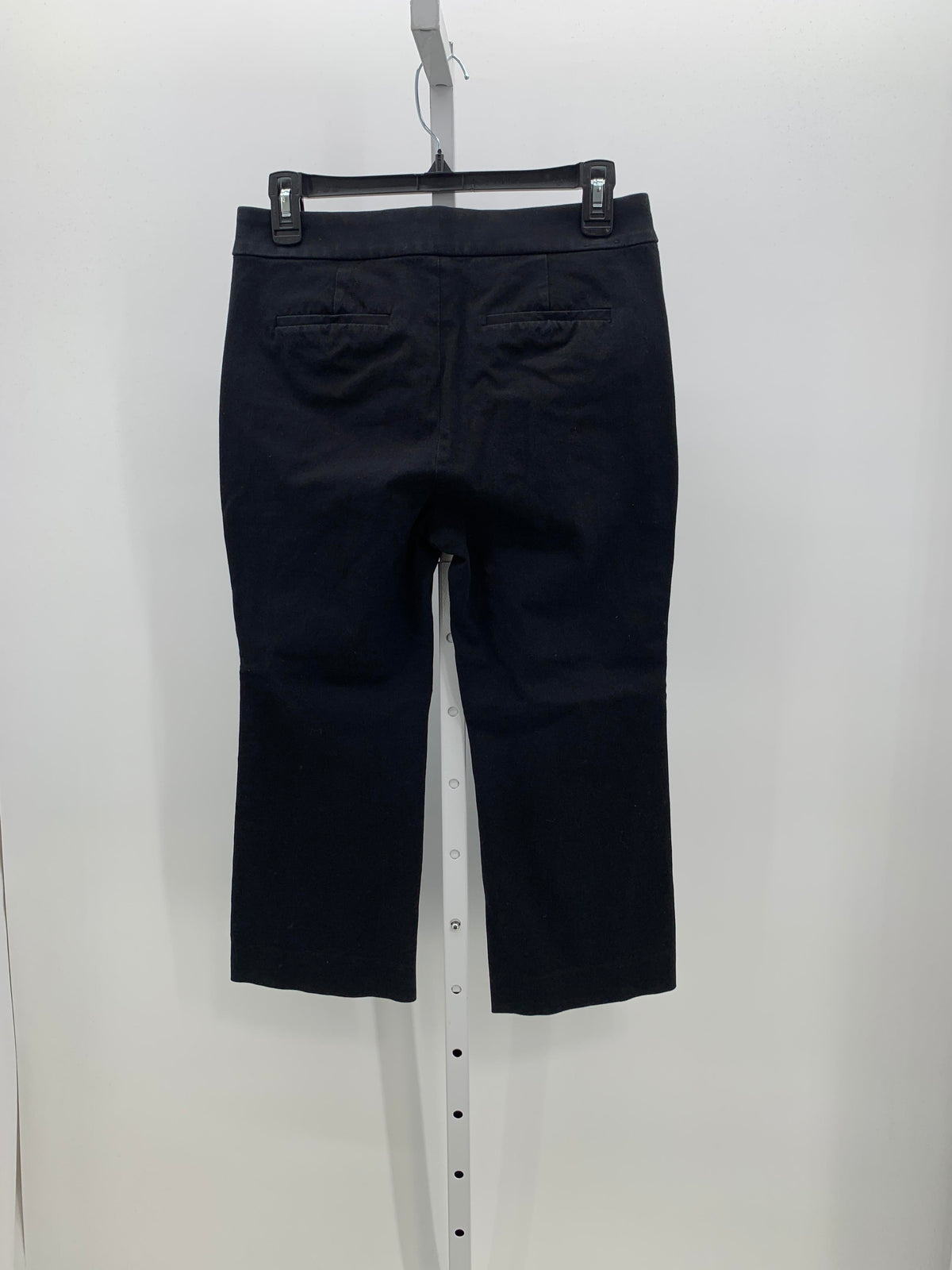 J. Crew Size 6 Petite Petite Pants