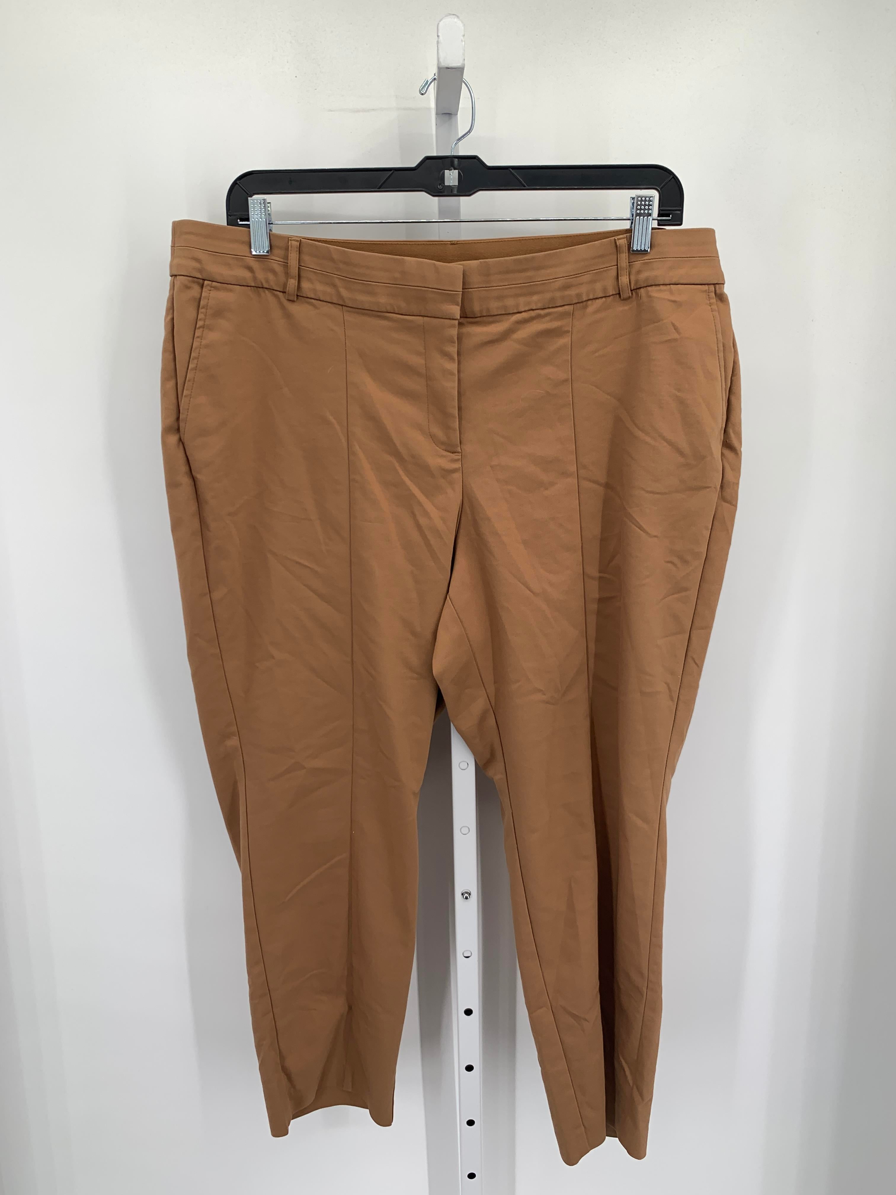 Lane Bryant Size 20 W Womens Pants