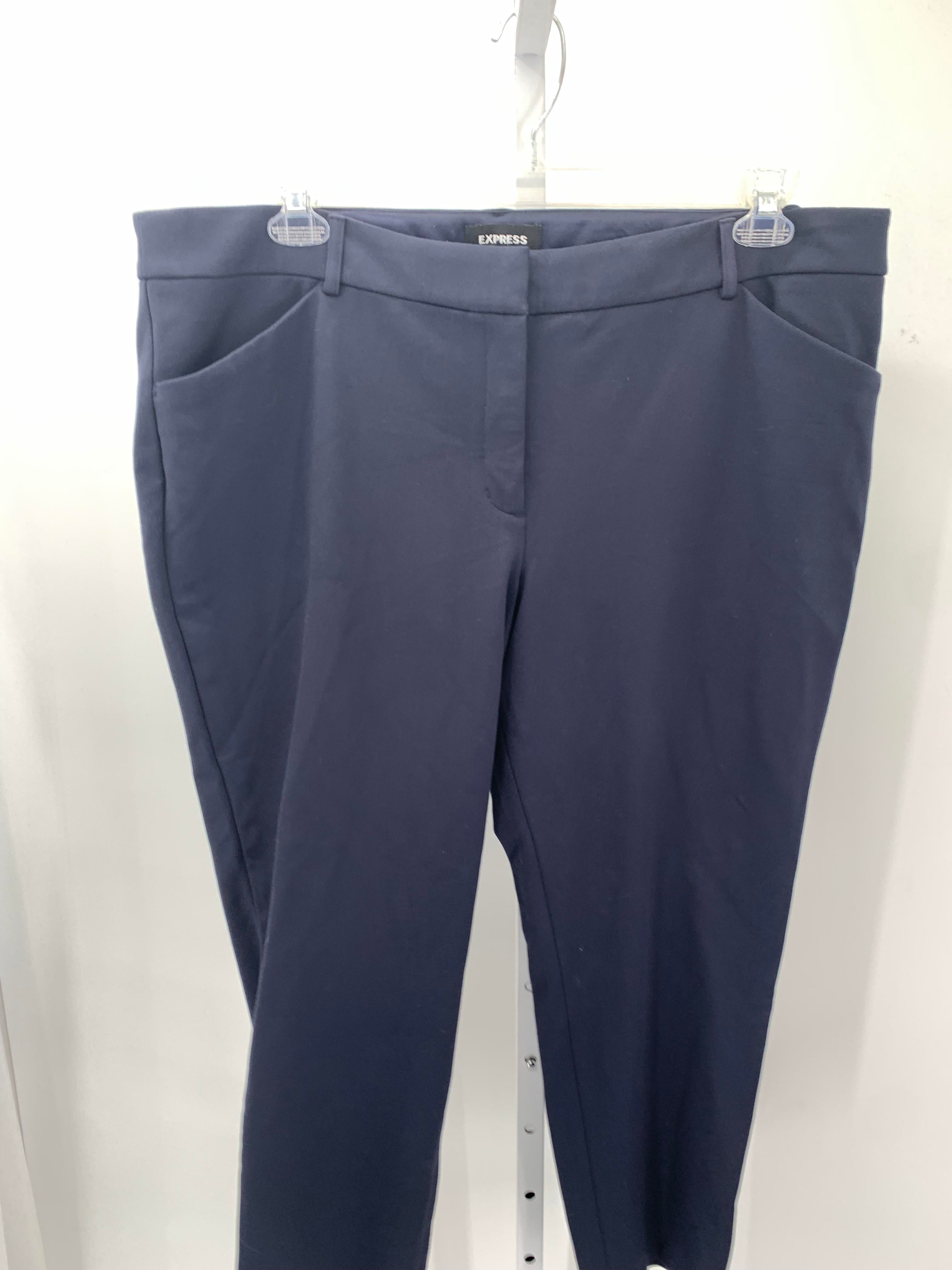 Express Size 18 Short Misses Pants