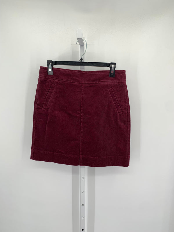 Loft Size 2 Misses Skirt