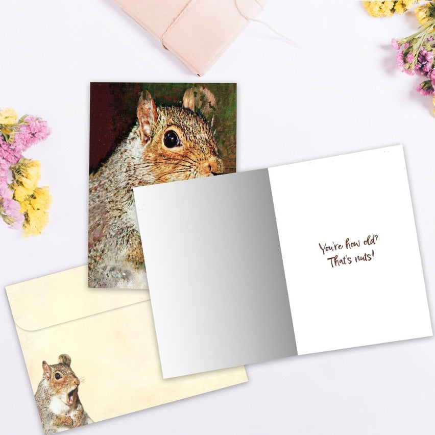 Nuts Squirrel Birthday Card