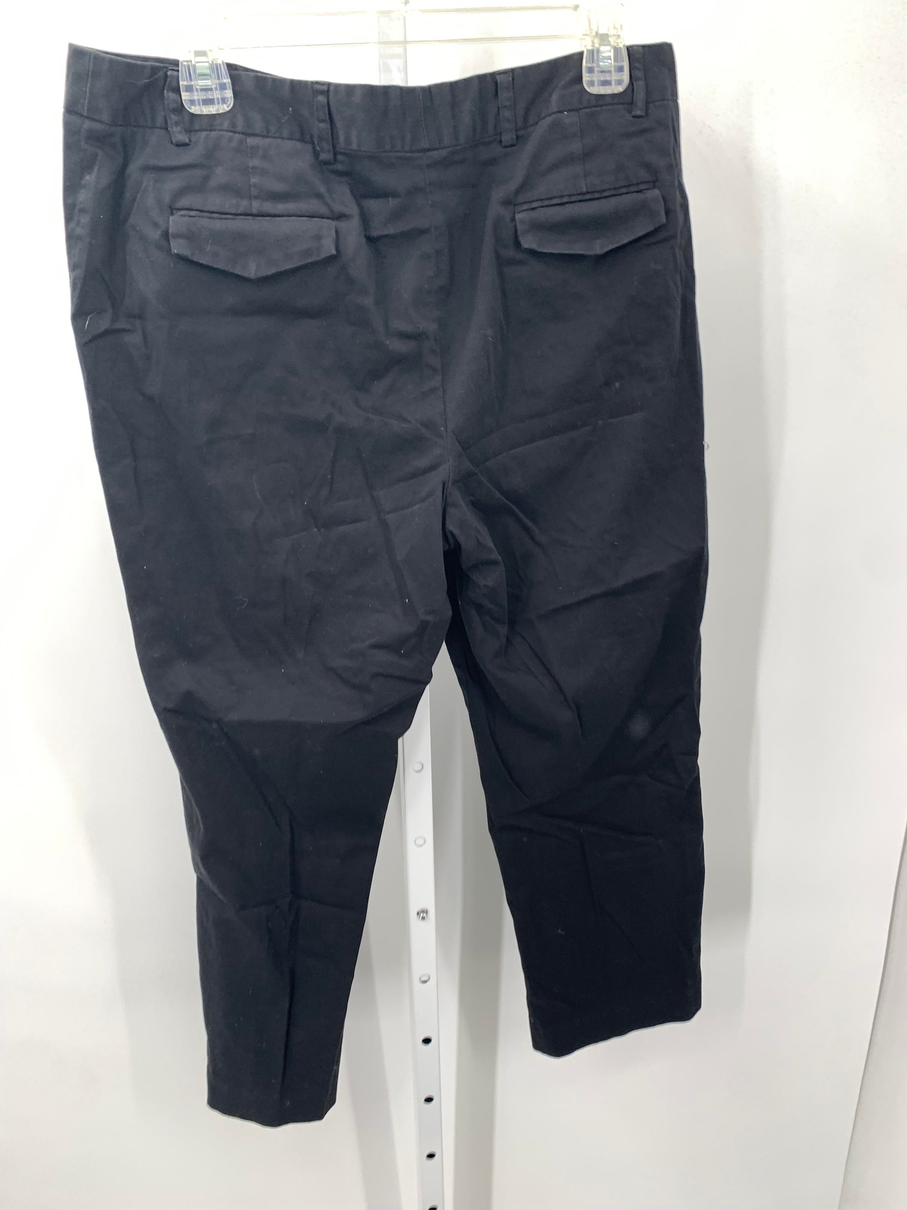 Size 12 Misses Pants