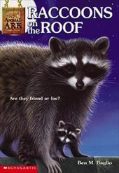 Raccoons on the Roof by Ben M.