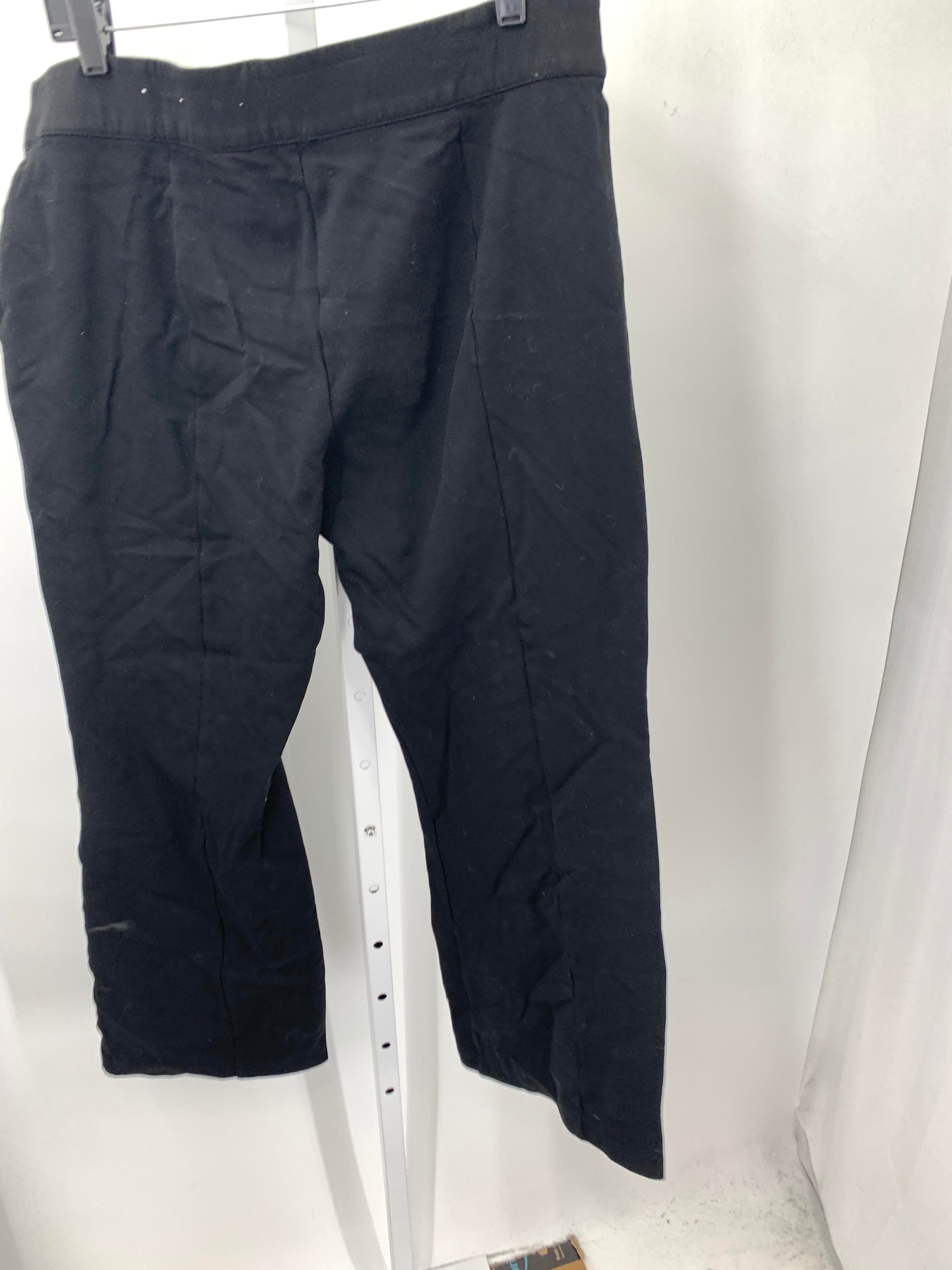 Christopher & Banks Size Extra Large Misses Pants
