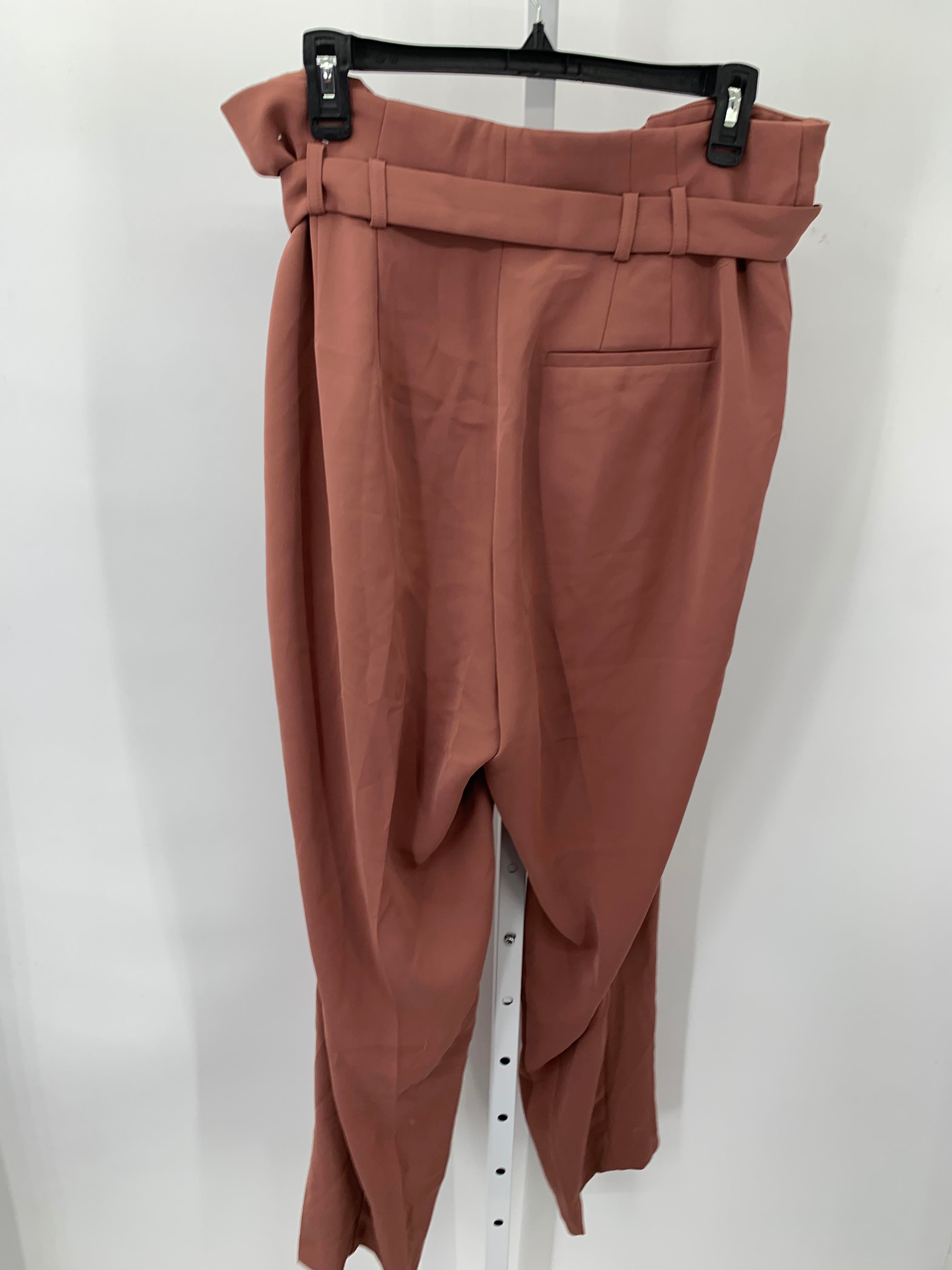 Express Size 4 Long Misses Pants