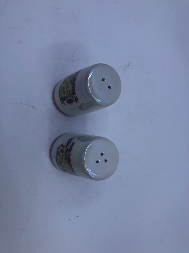 IRIDESCENT CERAMIC ARIZONA THEMED S/P SHAKERS.
