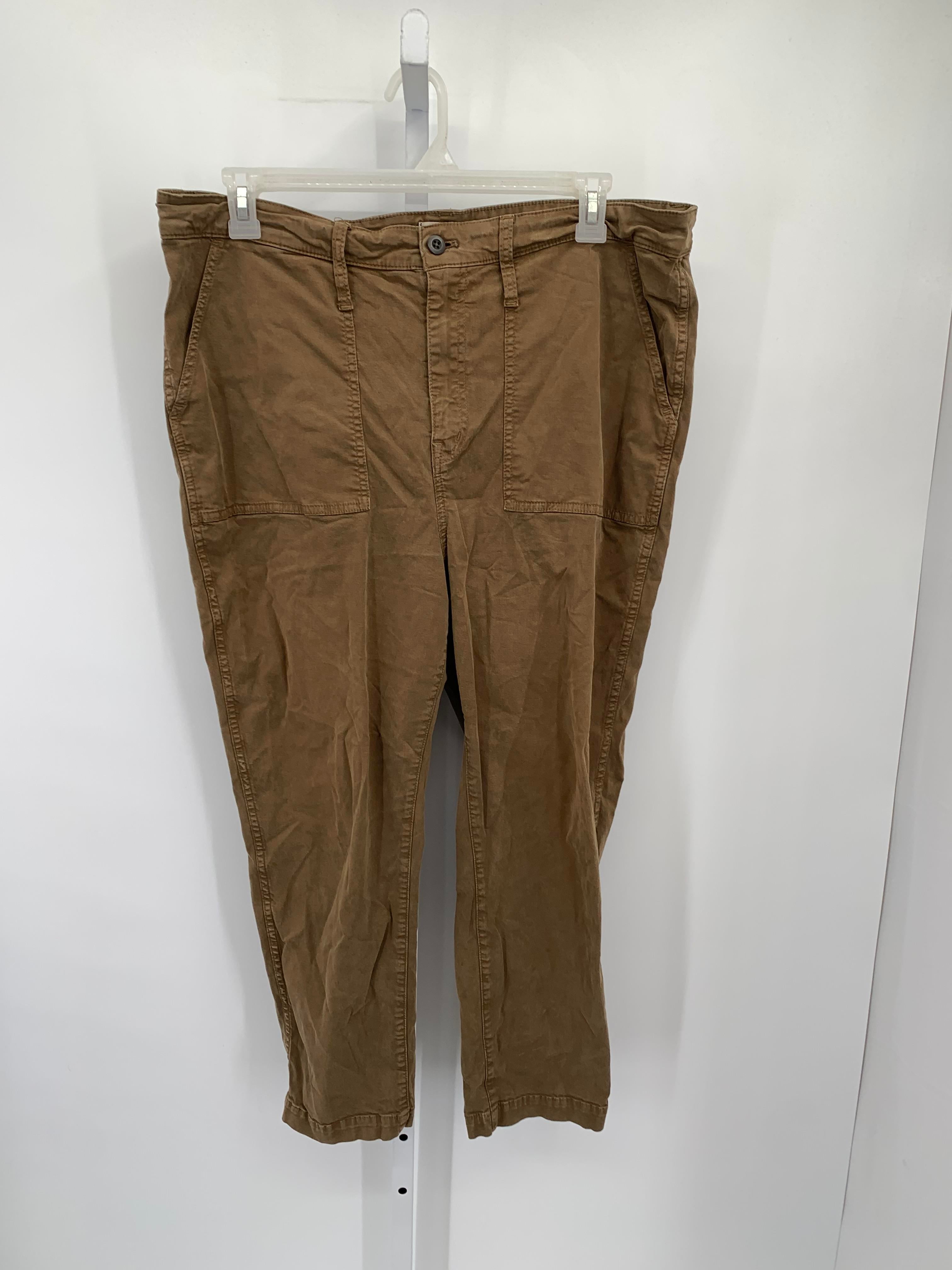 Madewell Size 20 Misses Pants