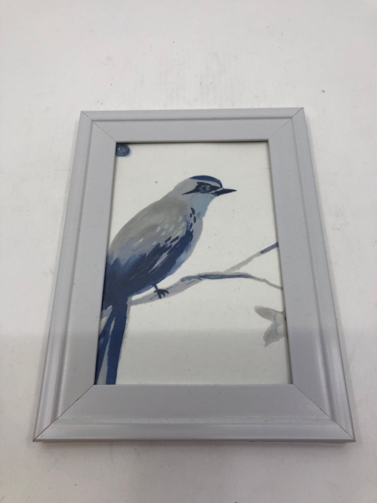 BLUE JAY IN WHITE FRAME WALL ART.