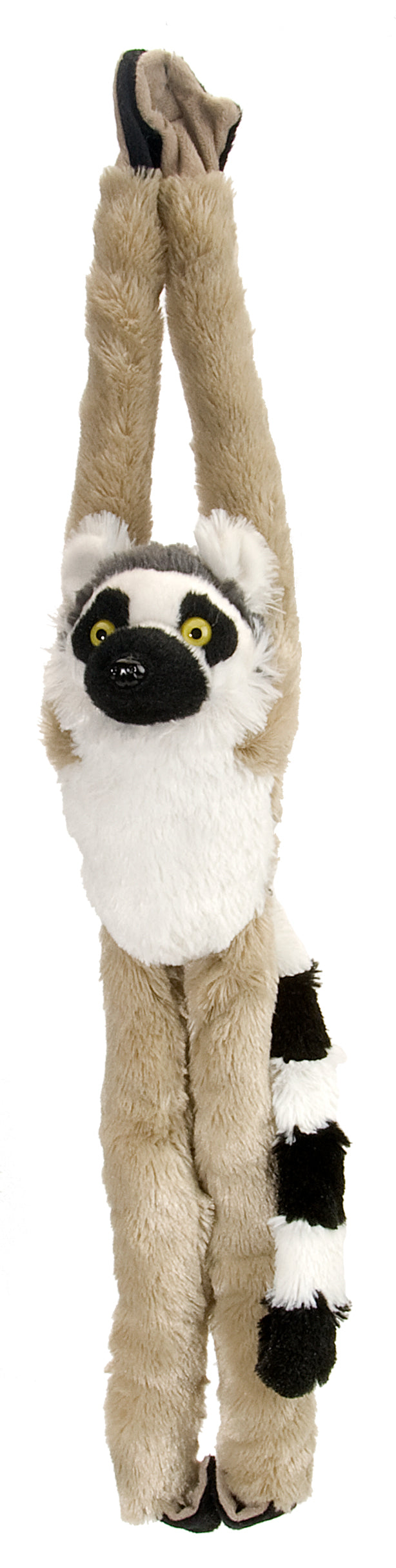 Hanging Ring Tailed Lemur