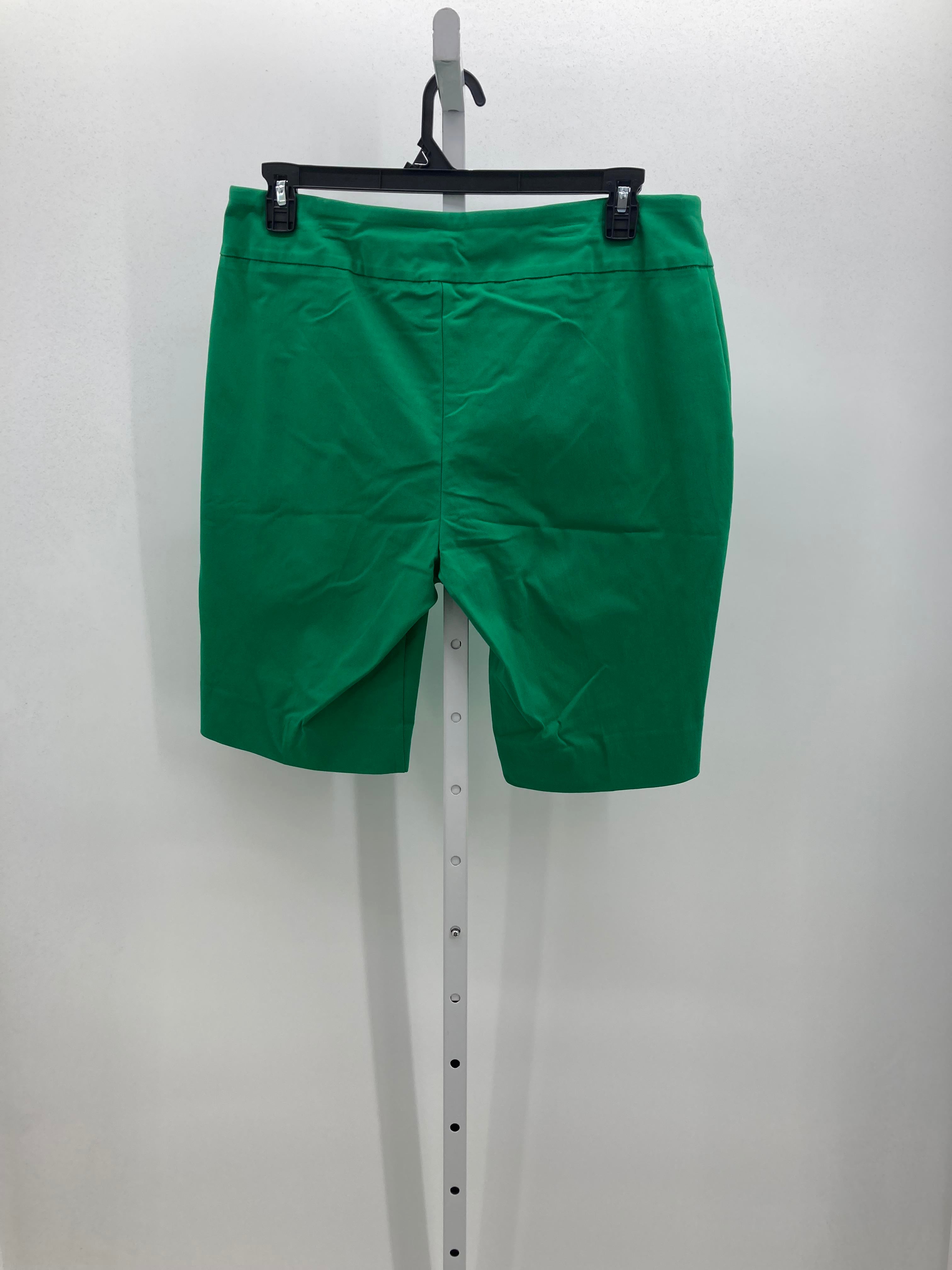 Zac & Rachel Size 16 Misses Shorts