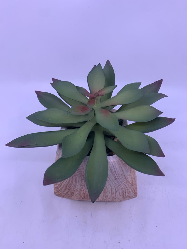 SUCCULENT IN SQUARE NARROW TOP WOOD PLANTER.