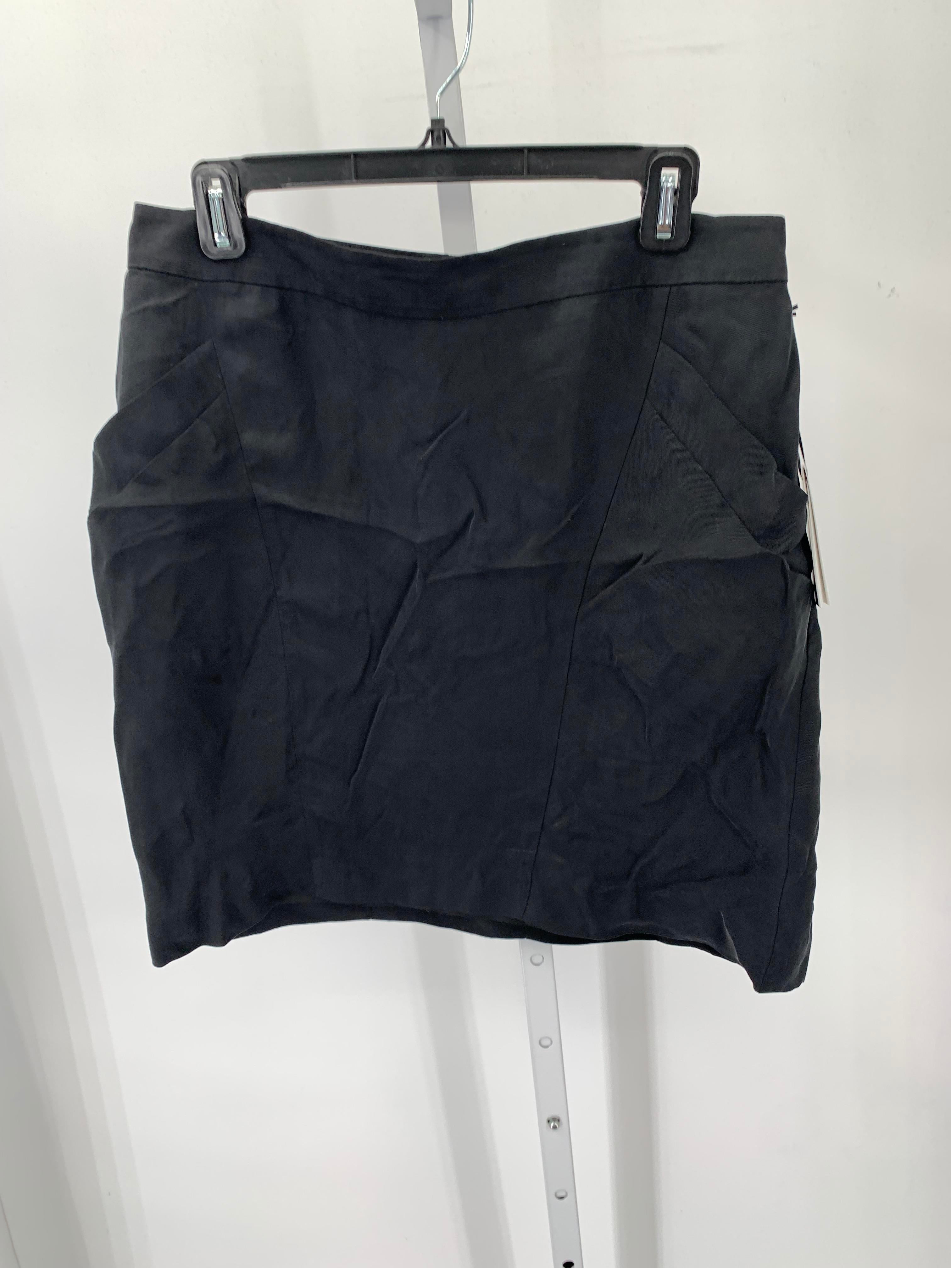Ann Taylor Size 6 Misses Skirt