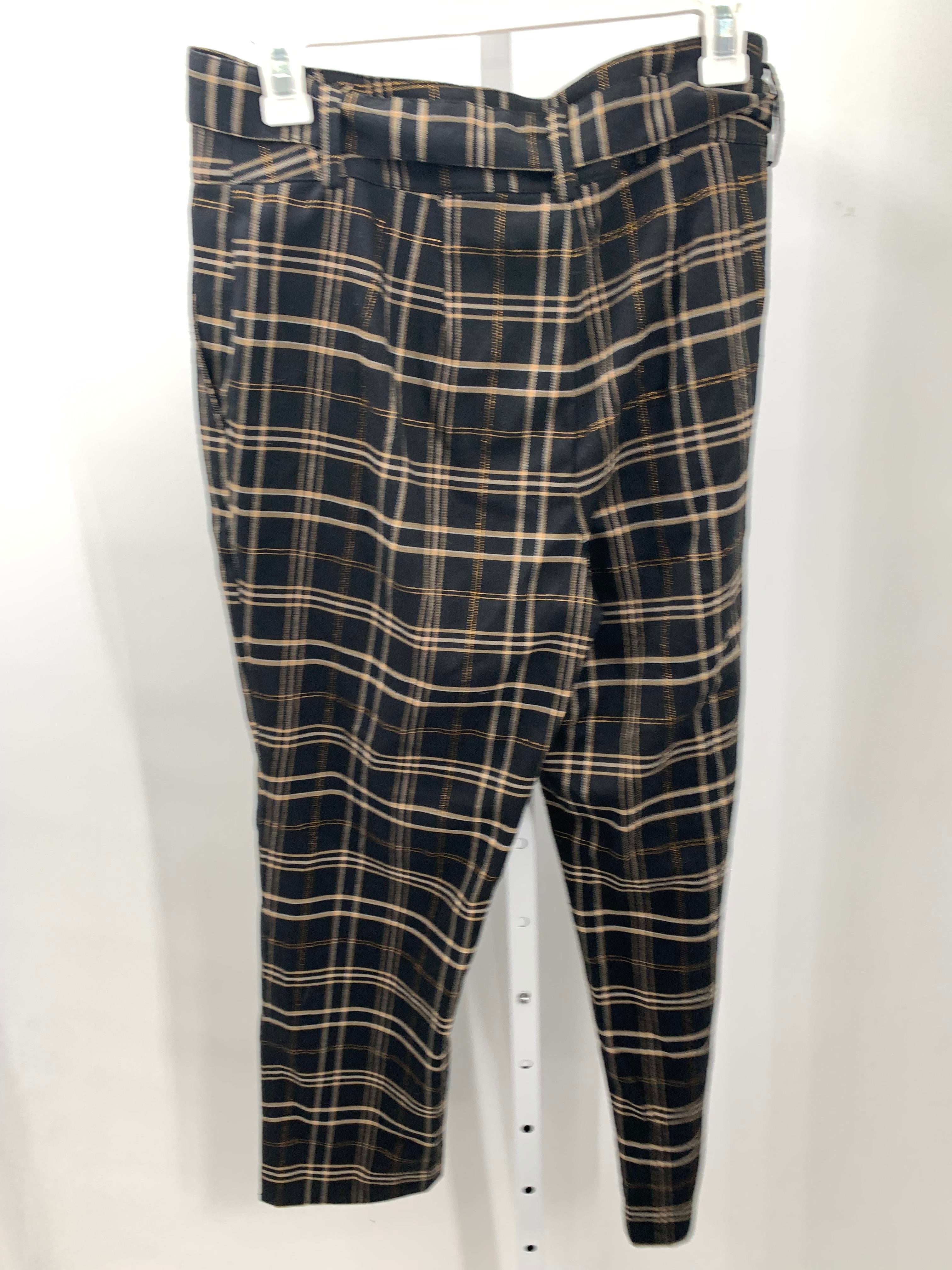 Loft Size 8 Misses Pants