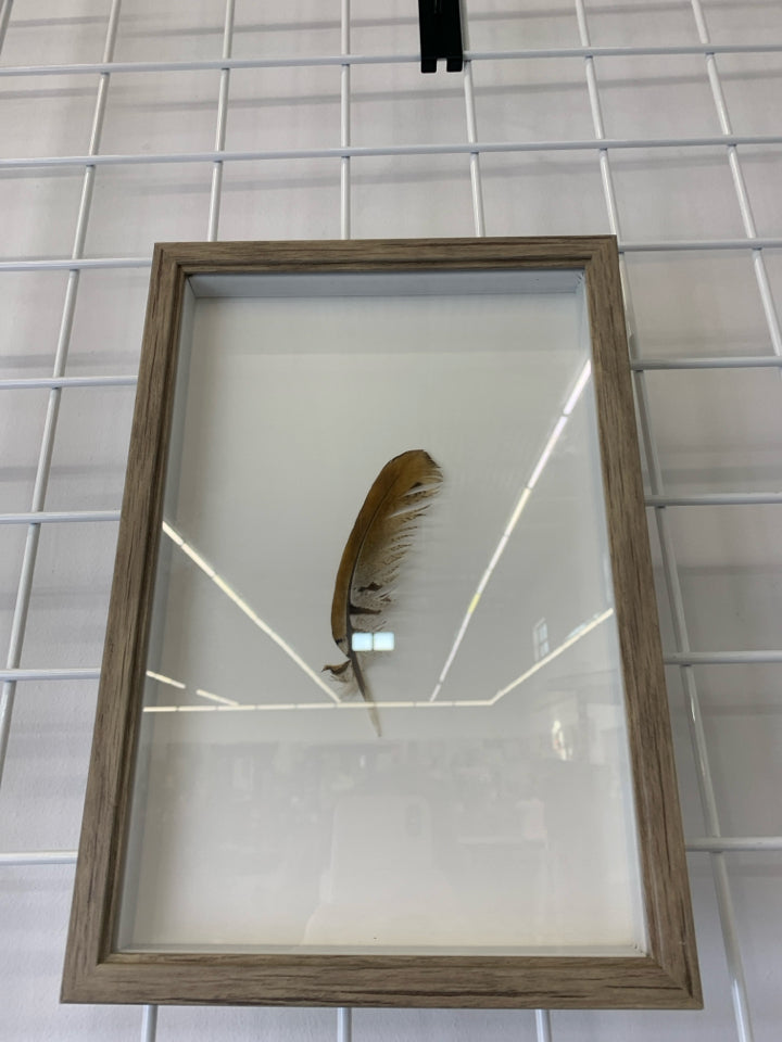 BROWN FEATHER IN A WOODEN FRAME.