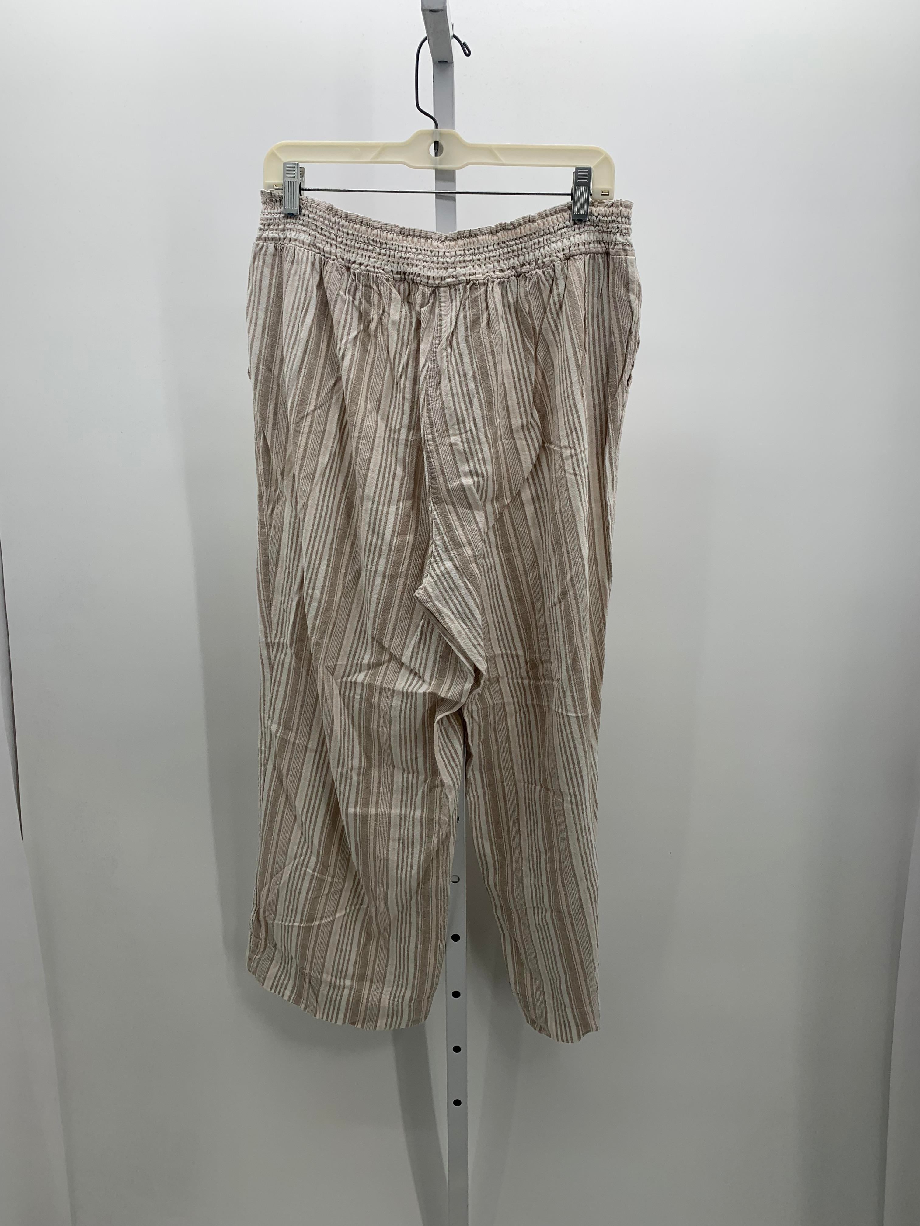 Size 2X Womens Pants