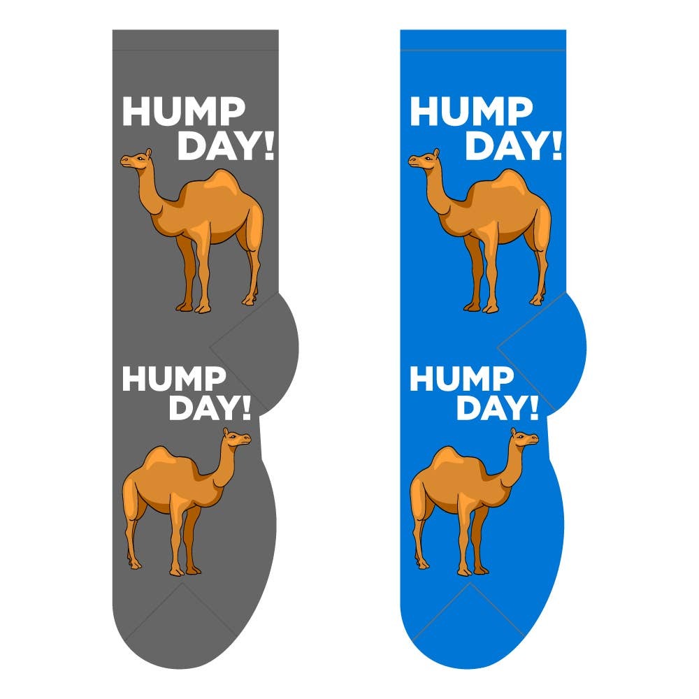 Hump Day Socks - New