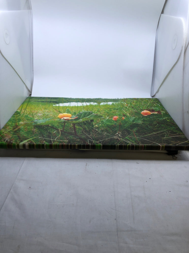 FLOWERS IN GREEN FIELD CANVAS WALL ART.