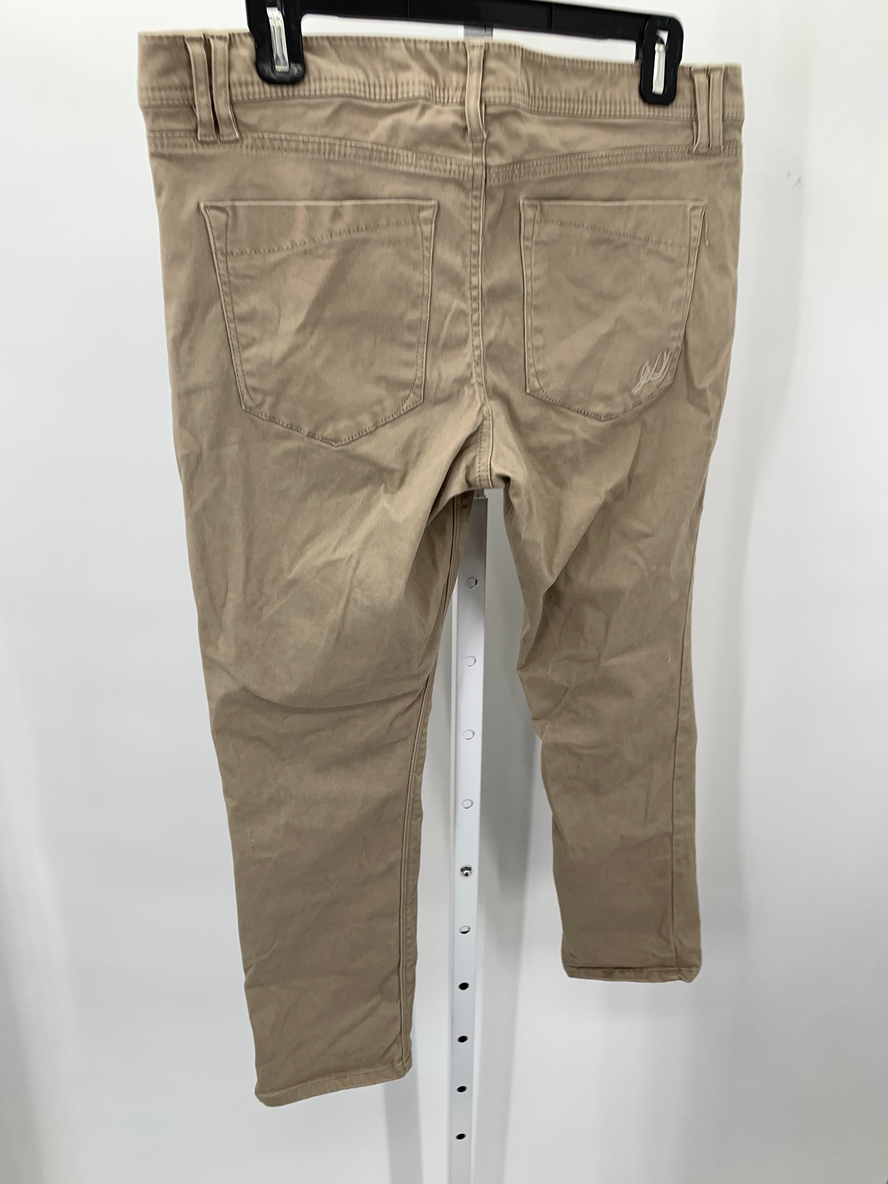 Express Size 10 Misses Cropped Pants