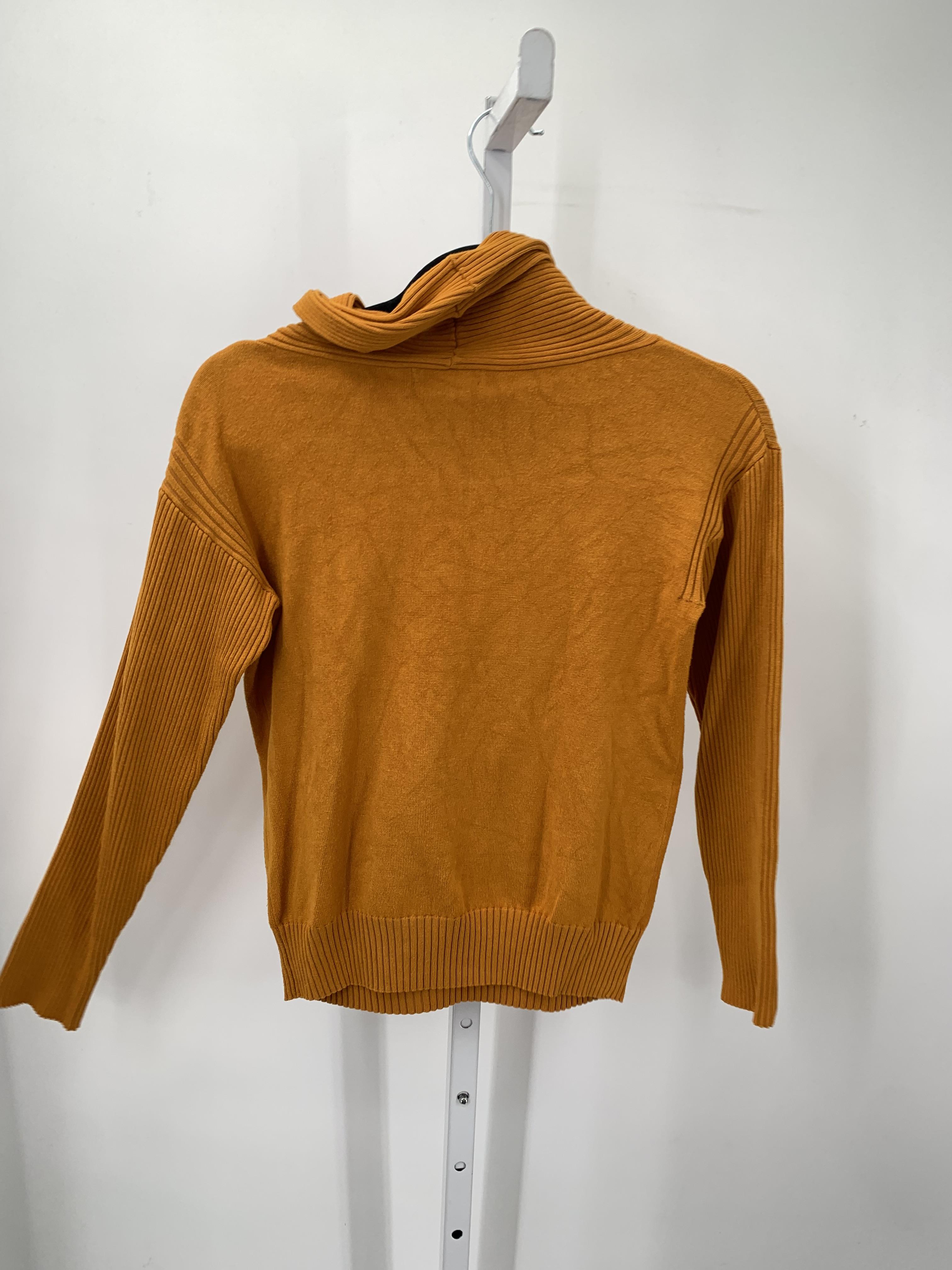 Size Large Petite Petite Long Slv Sweater