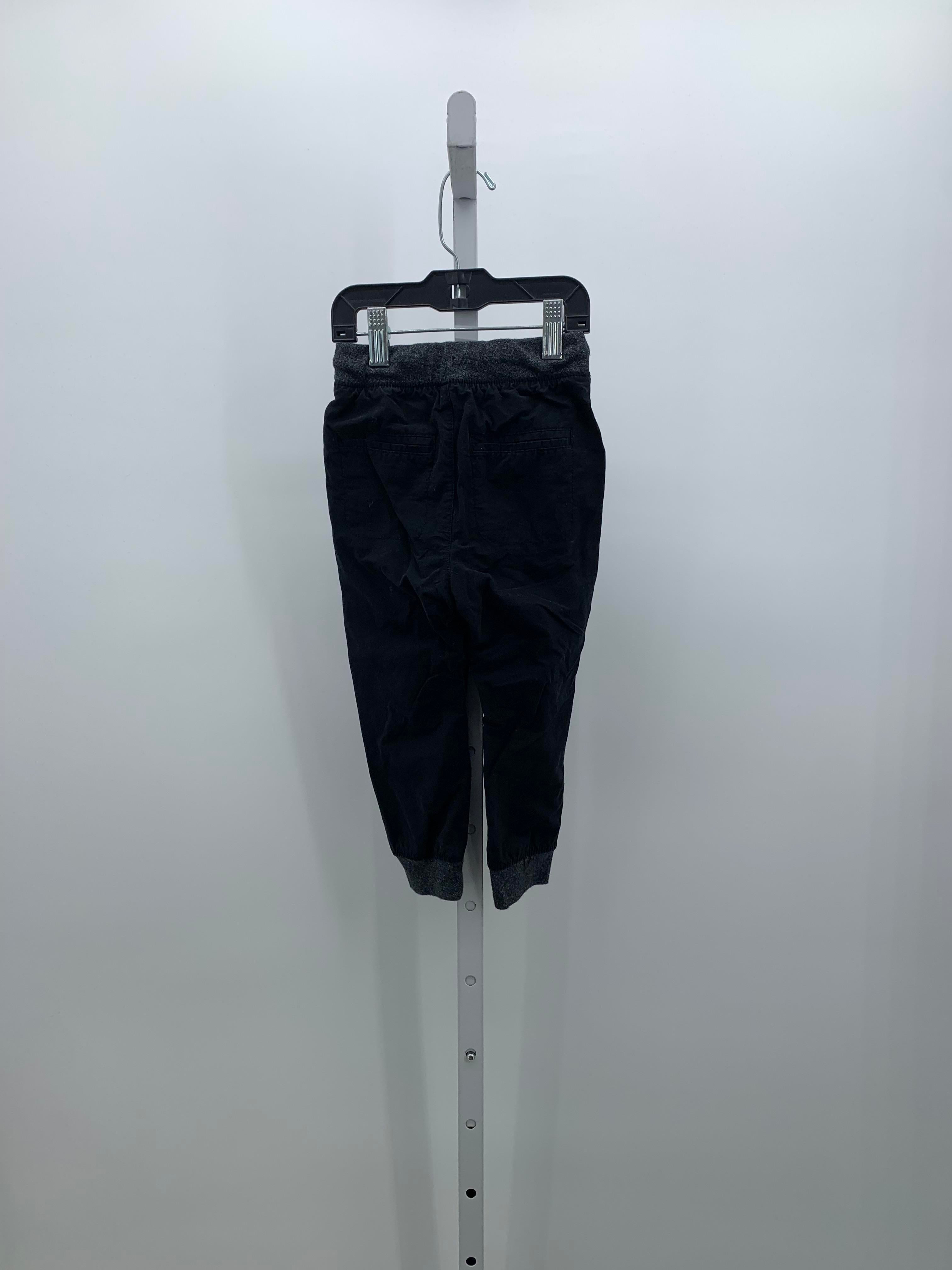 DRAW WAIST LINED PANTS
