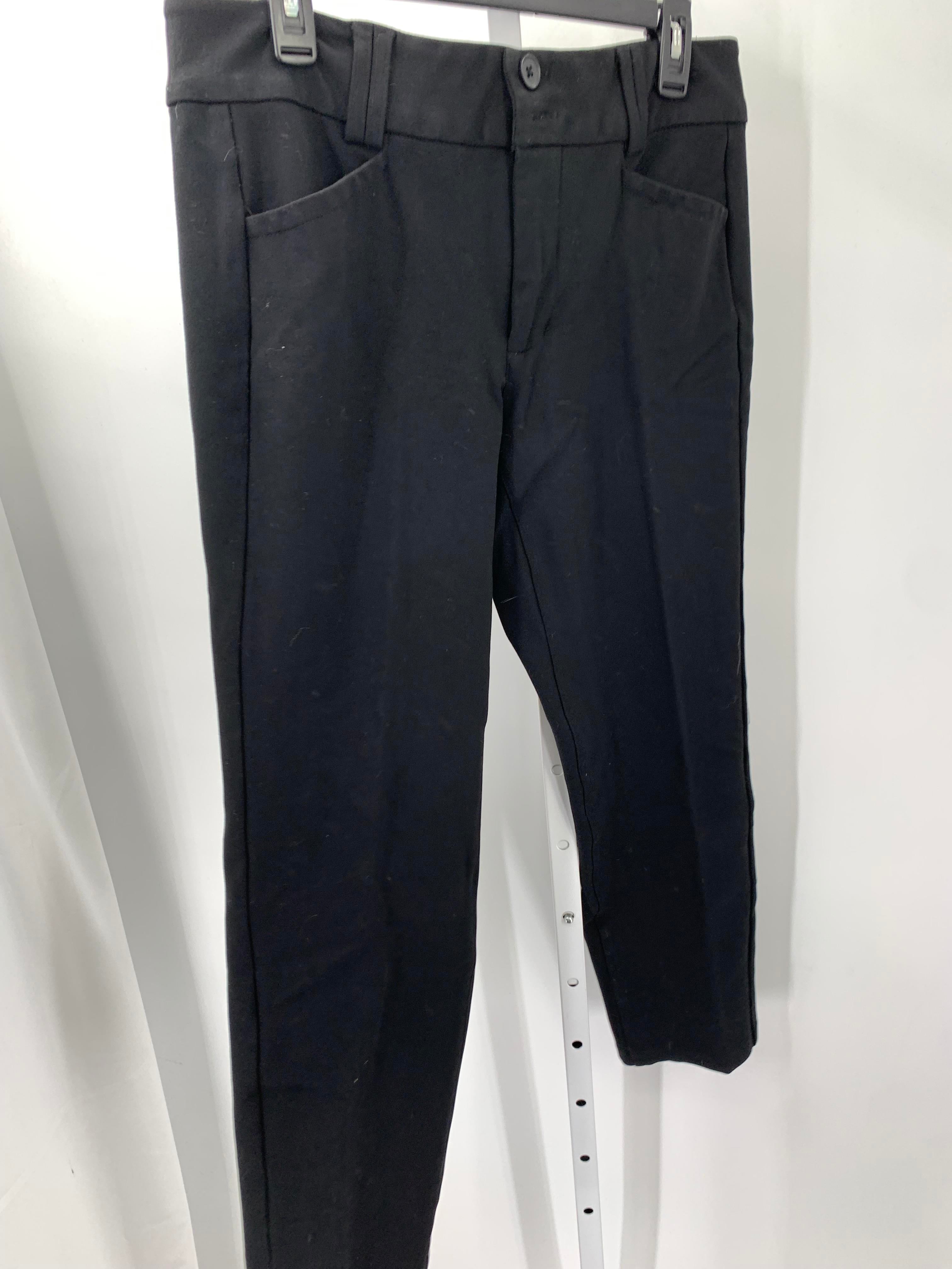 Torrid Size 10 Misses Pants