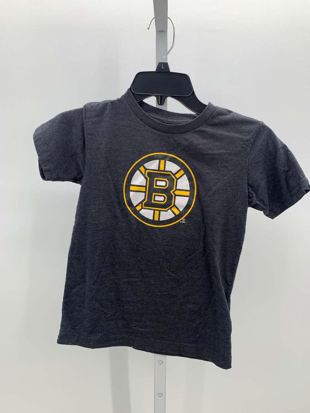 BOSTON BRUINS