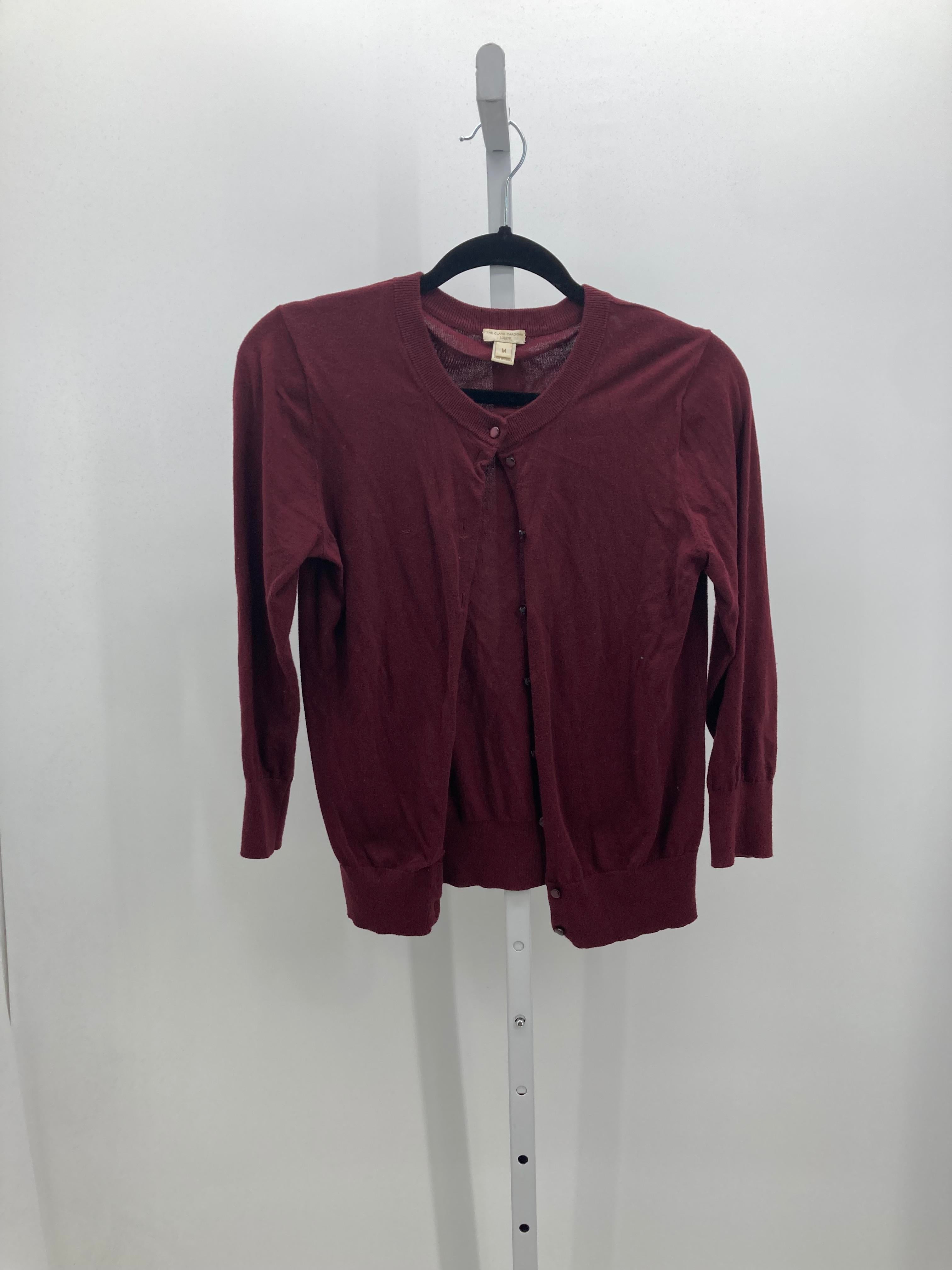 J. Crew Size Small Misses Long Slv Sweater