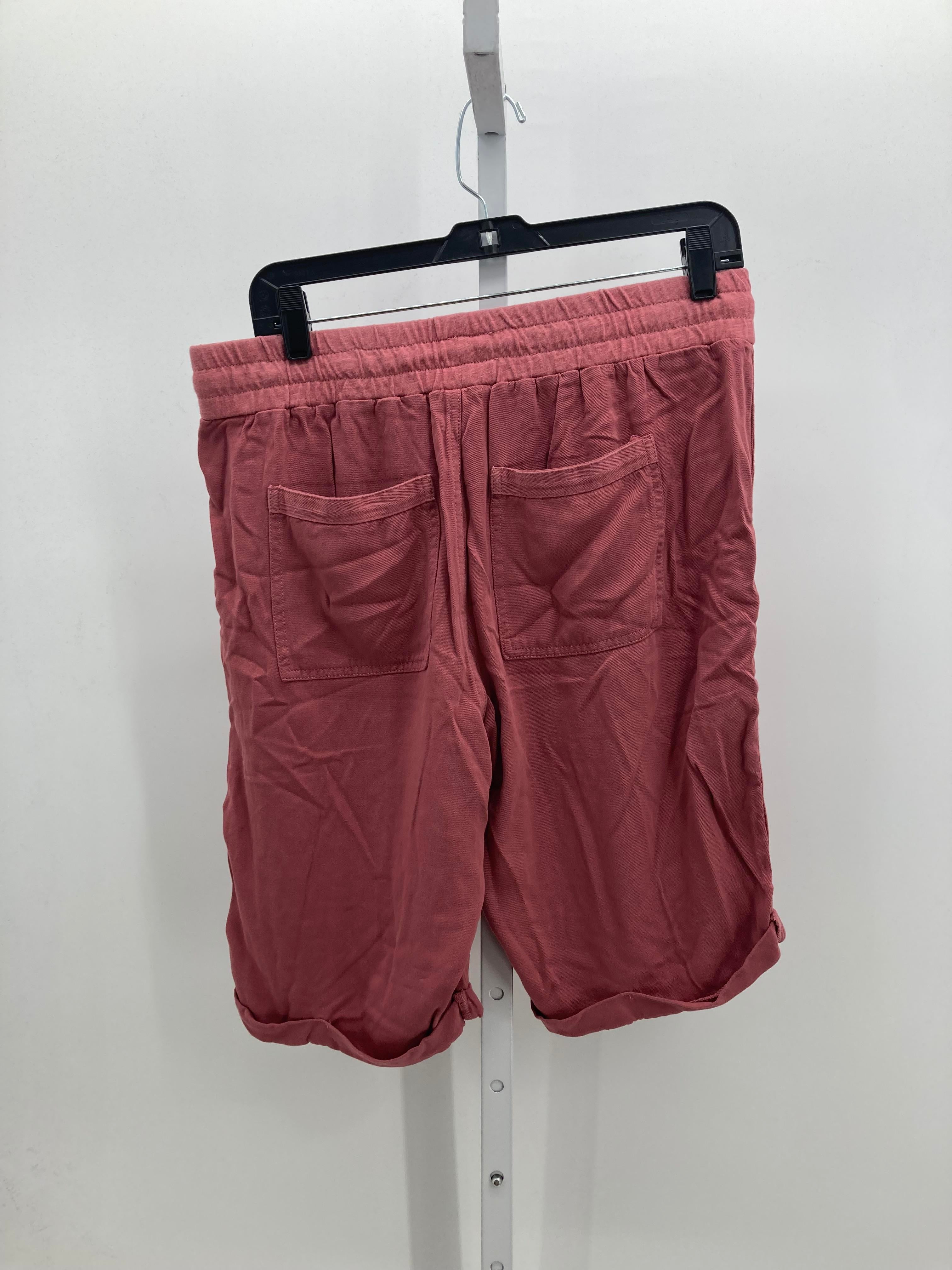 Splendid Size Medium Misses Shorts