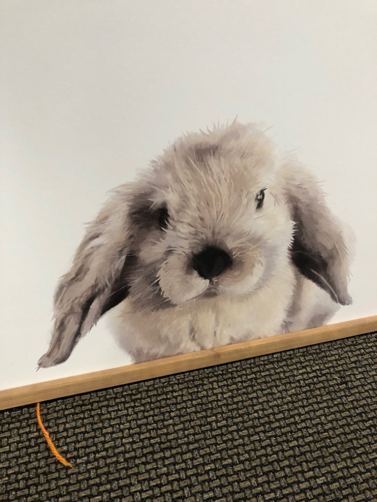 BUNNY IN WOOD FRAME WALL HANGING.