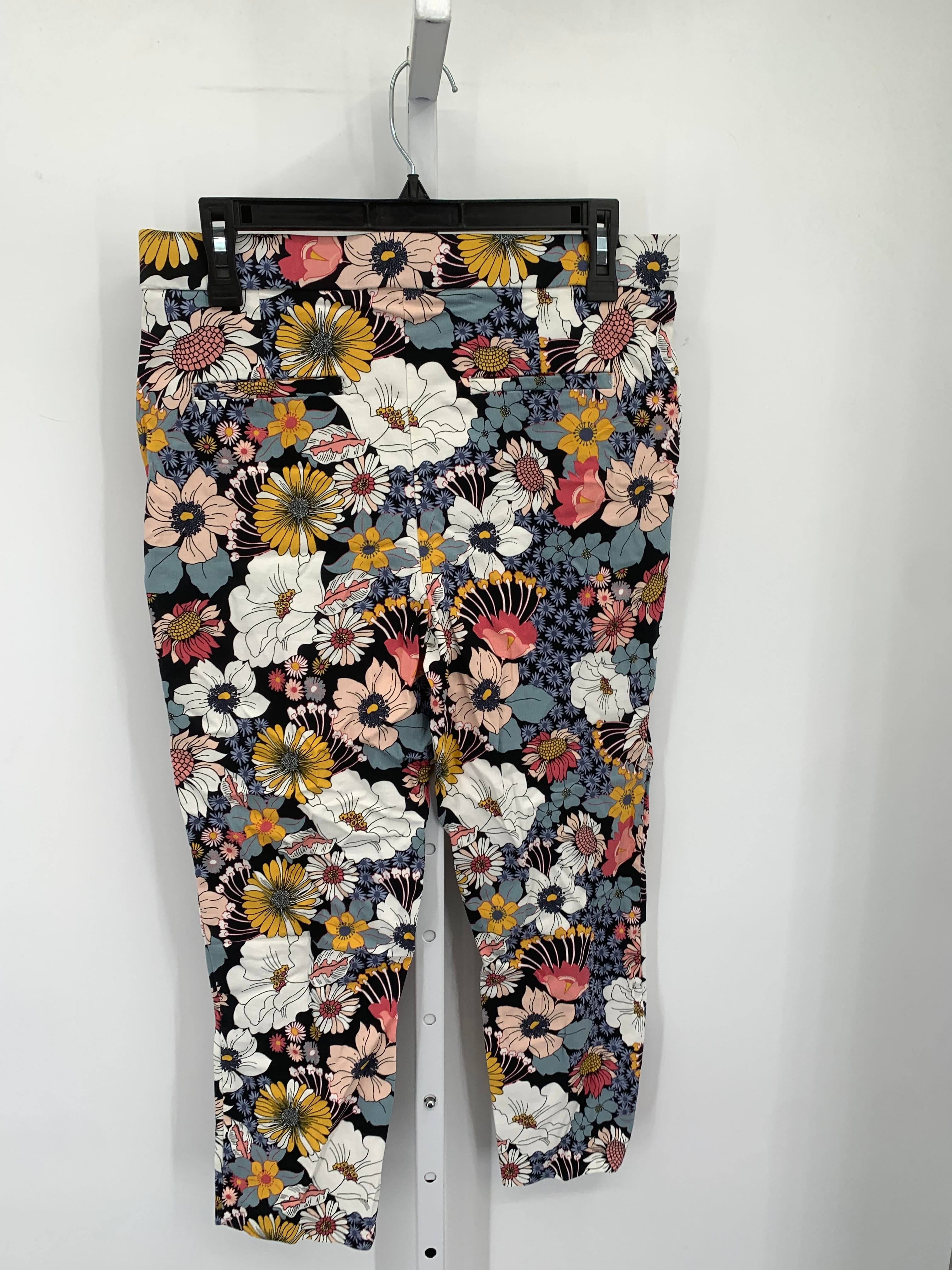 Jules & Leopold Size Large Misses Cropped Pants