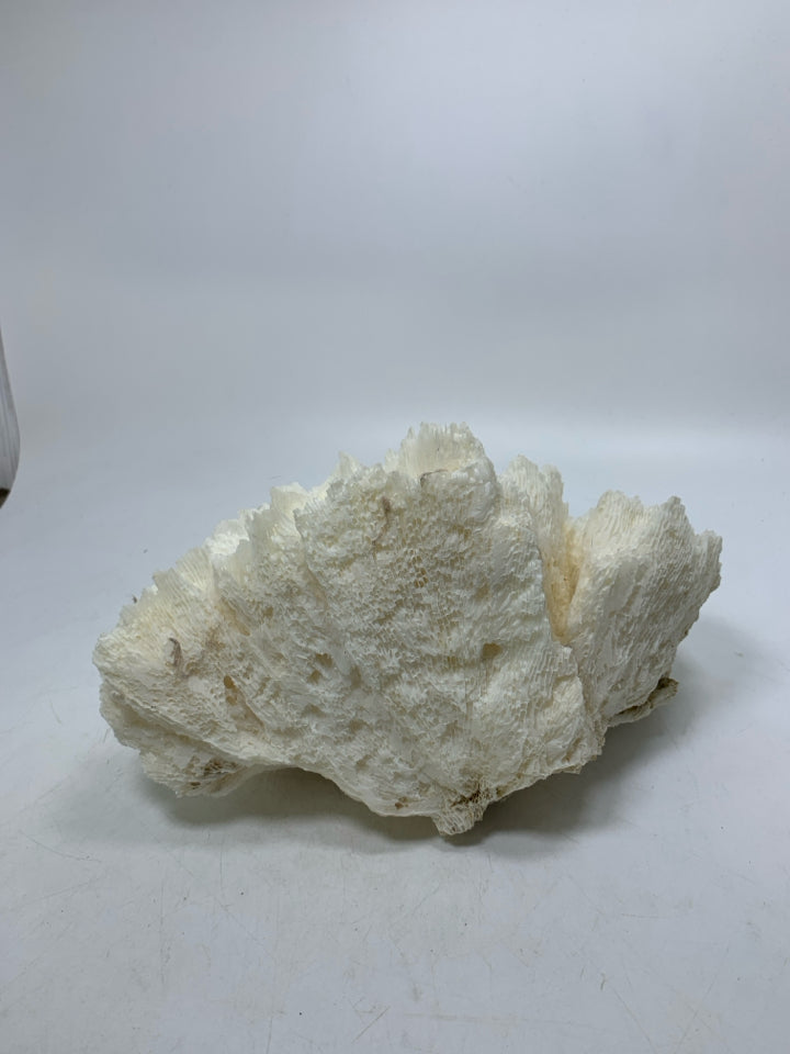 LARGE WHITE PIECE OF DECORATIVE CORAL.