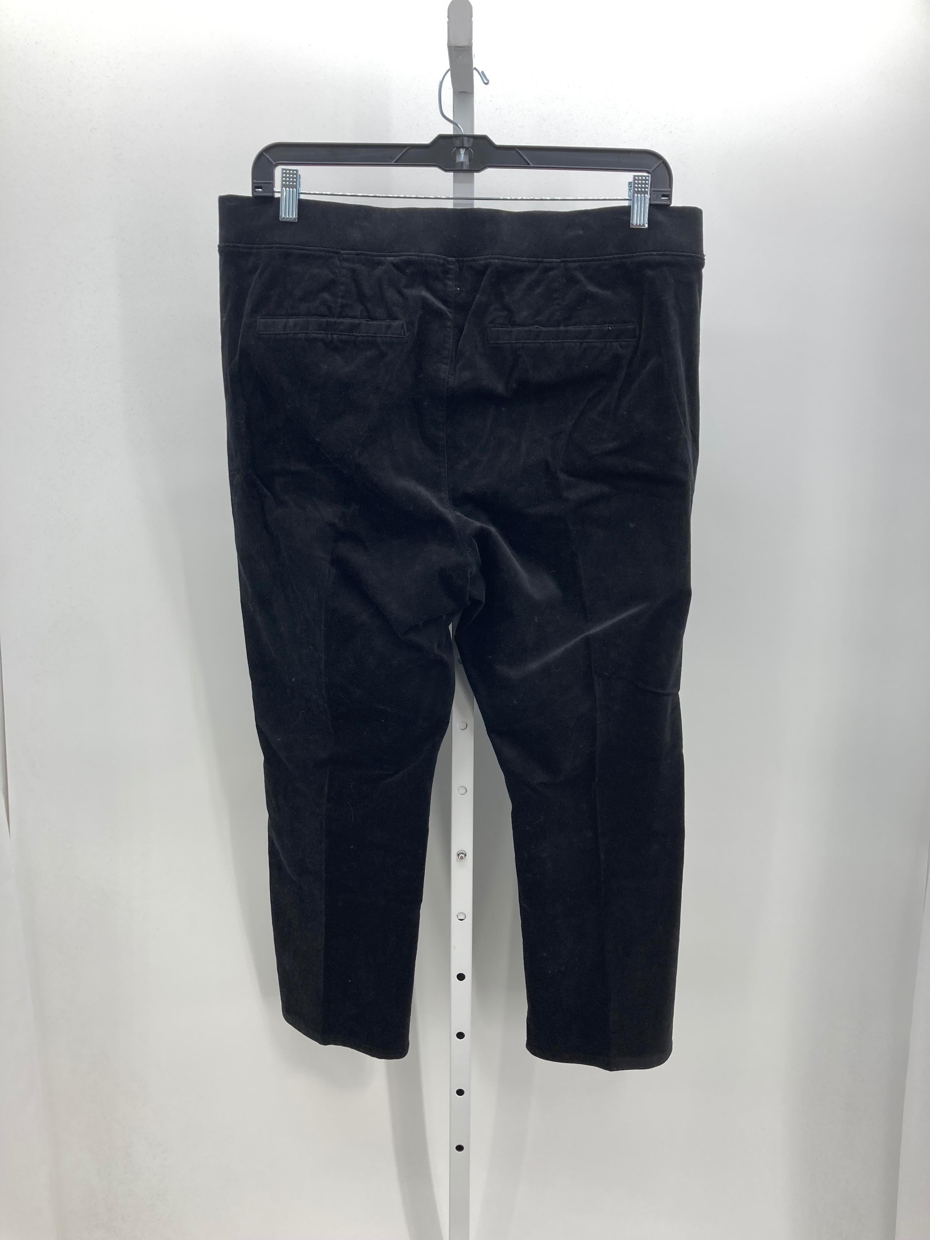 d & co. Size 1XP Womens Pants