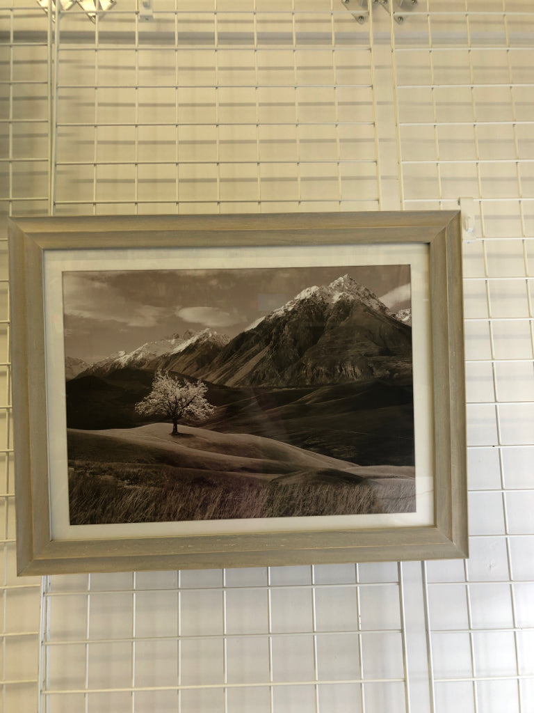 BLACK/WHITE FIELD LANDSCAPE W/ MOUNTAIN IN BACKGROUND.