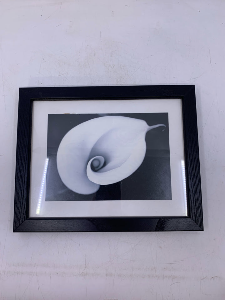 FRAMED CALLA LILY PRINT.