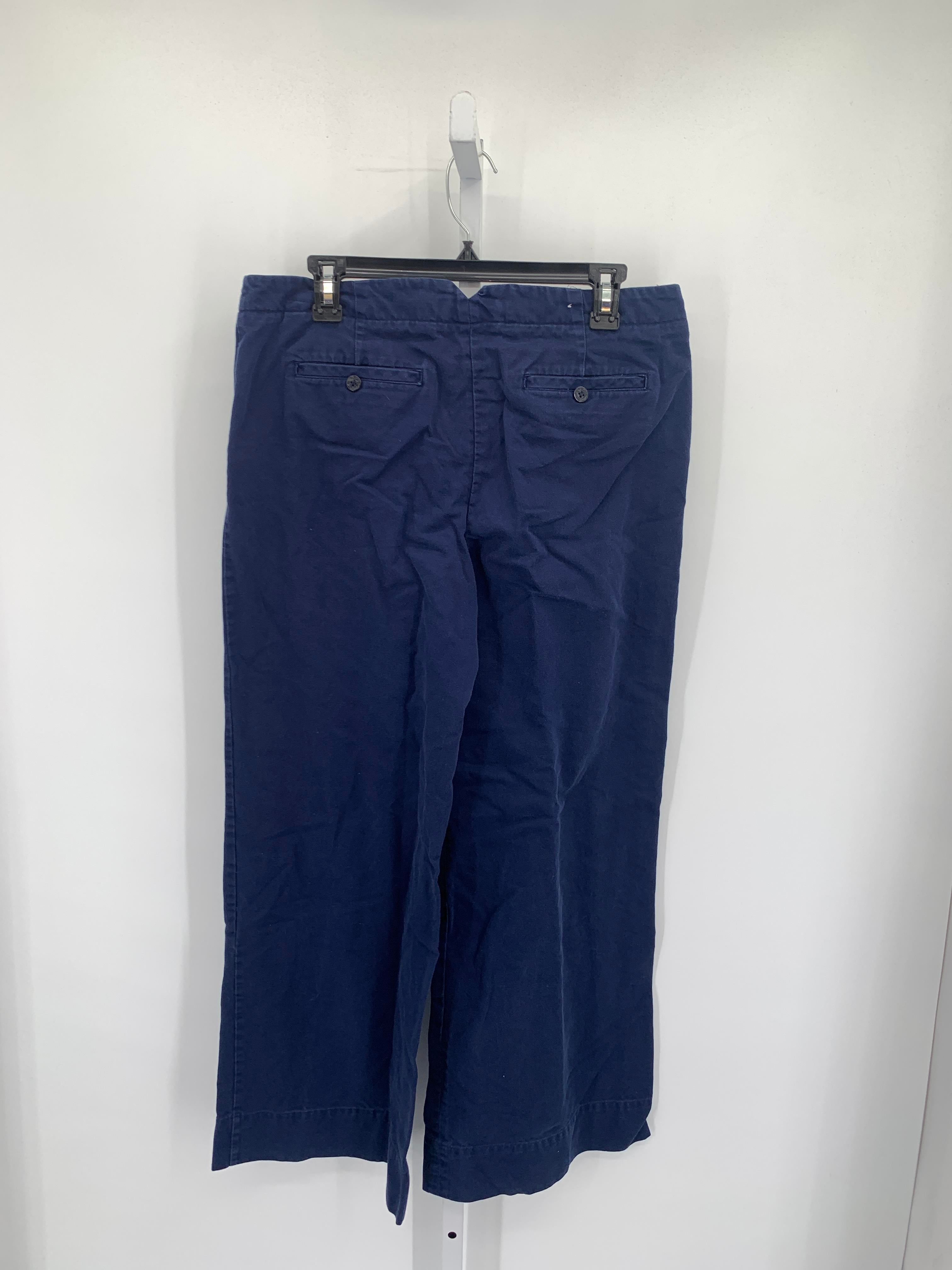 Isaac Mizrahi Size 12 Misses Pants