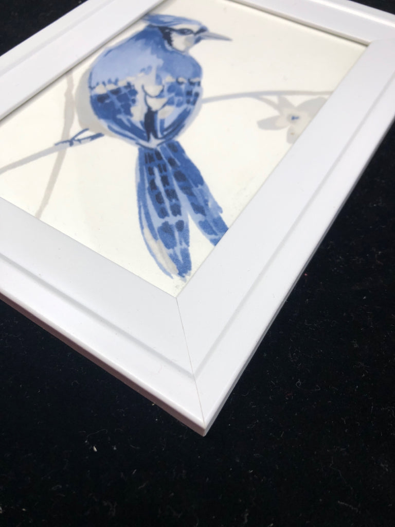 BLUE JAY IN WHITE FRAME WALL ART.