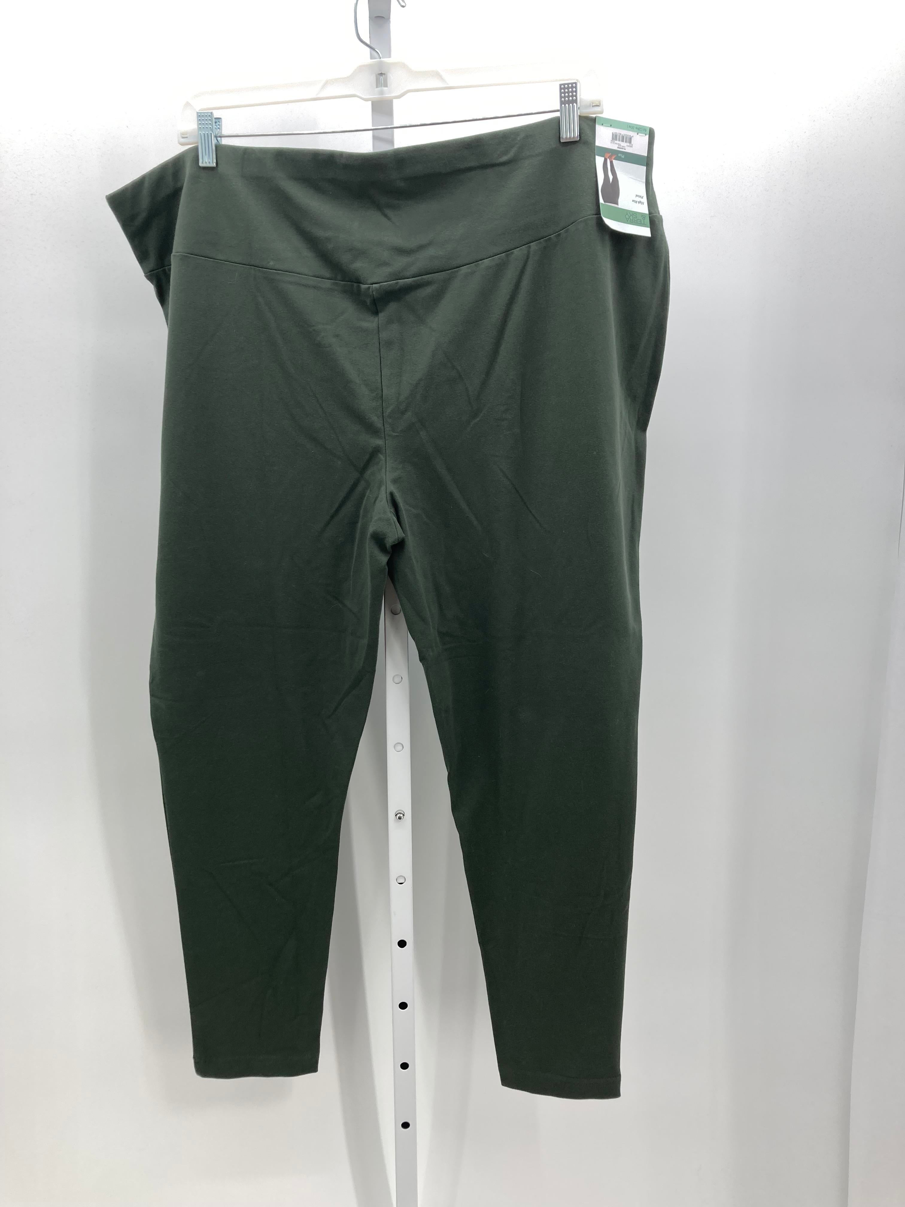 Terra & Sky Size 4X Womens Pants