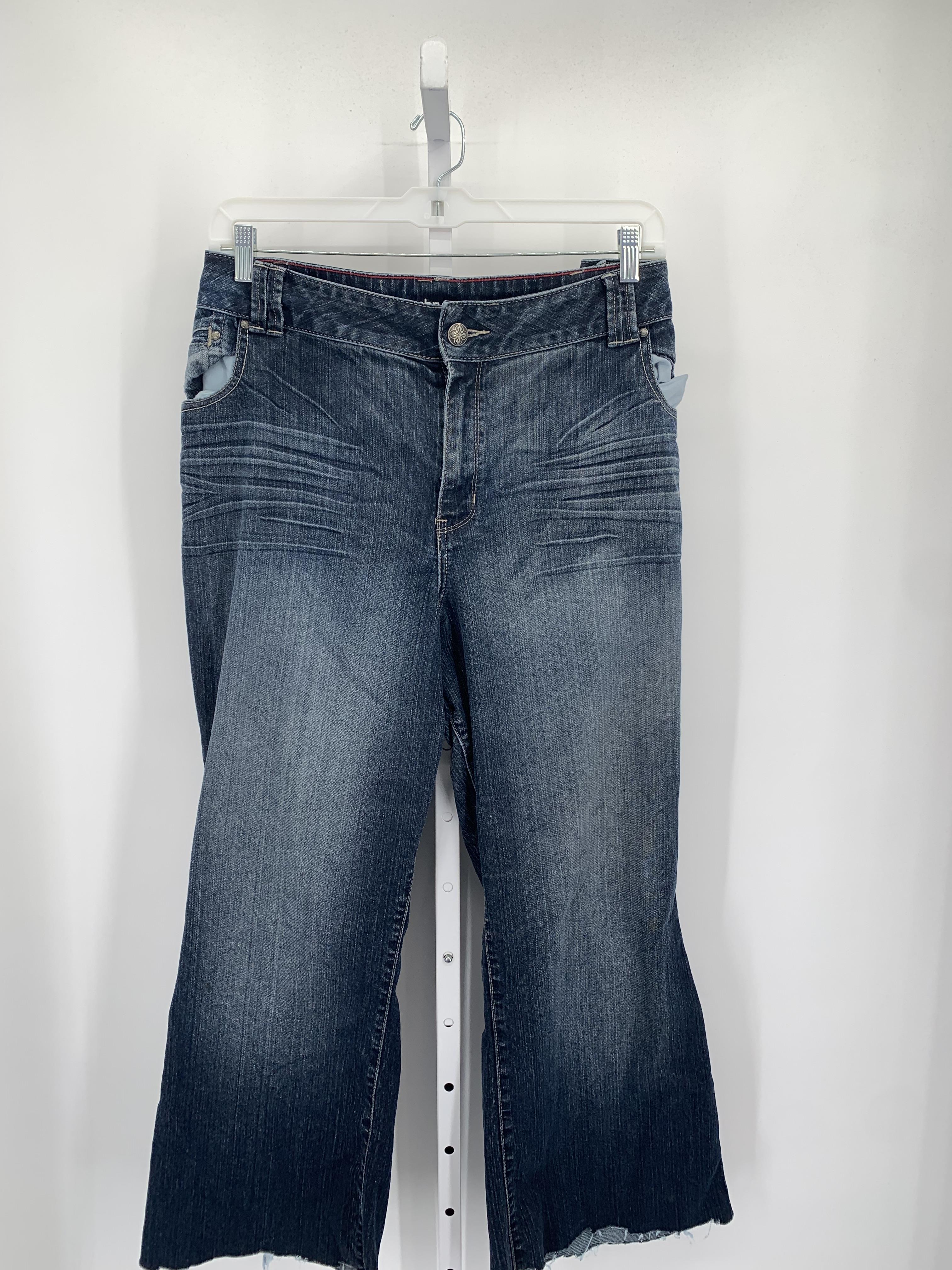 Lane Bryant Size 26 W Womens Jeans