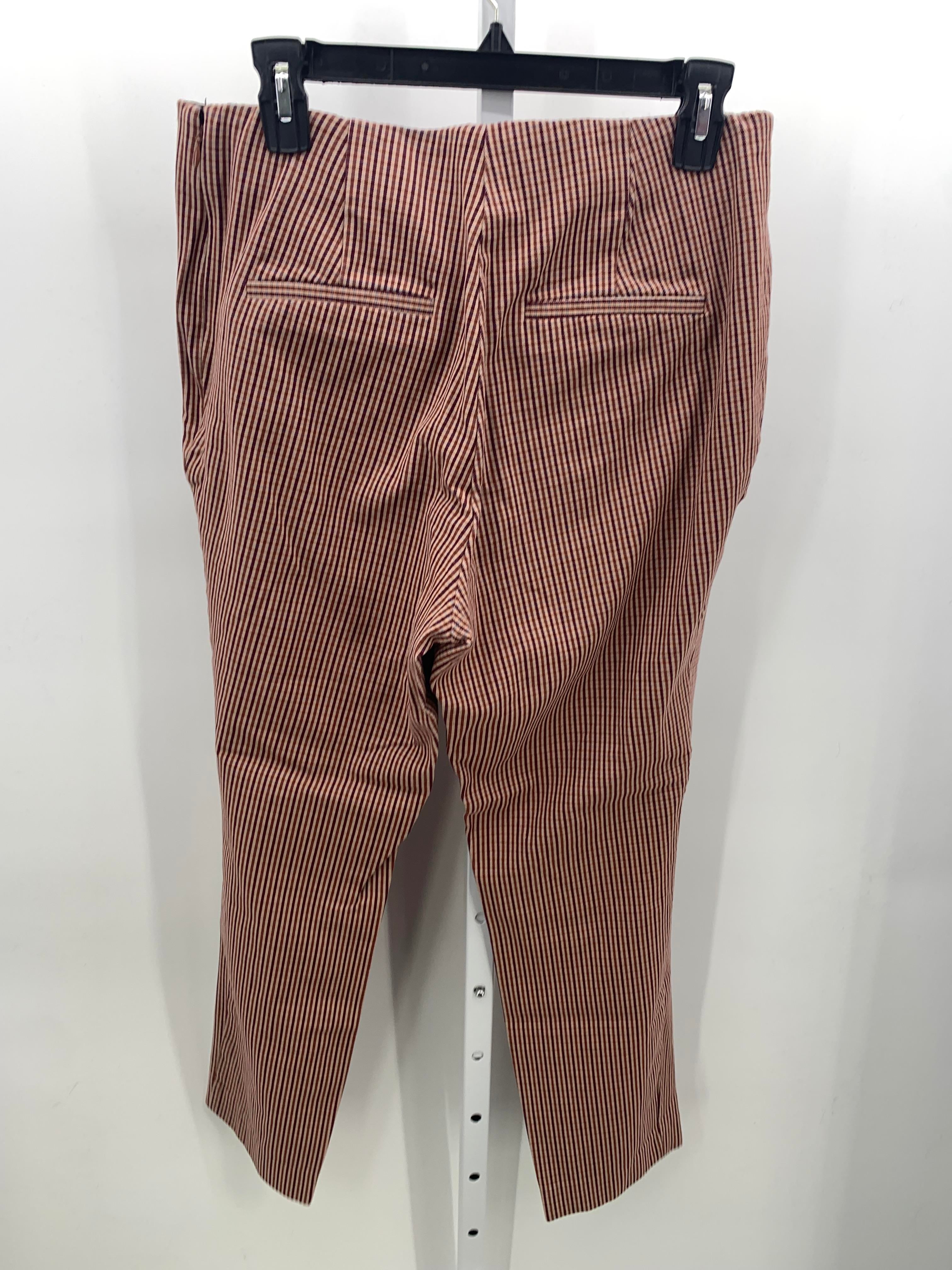 A New Day Size 10 Misses Pants