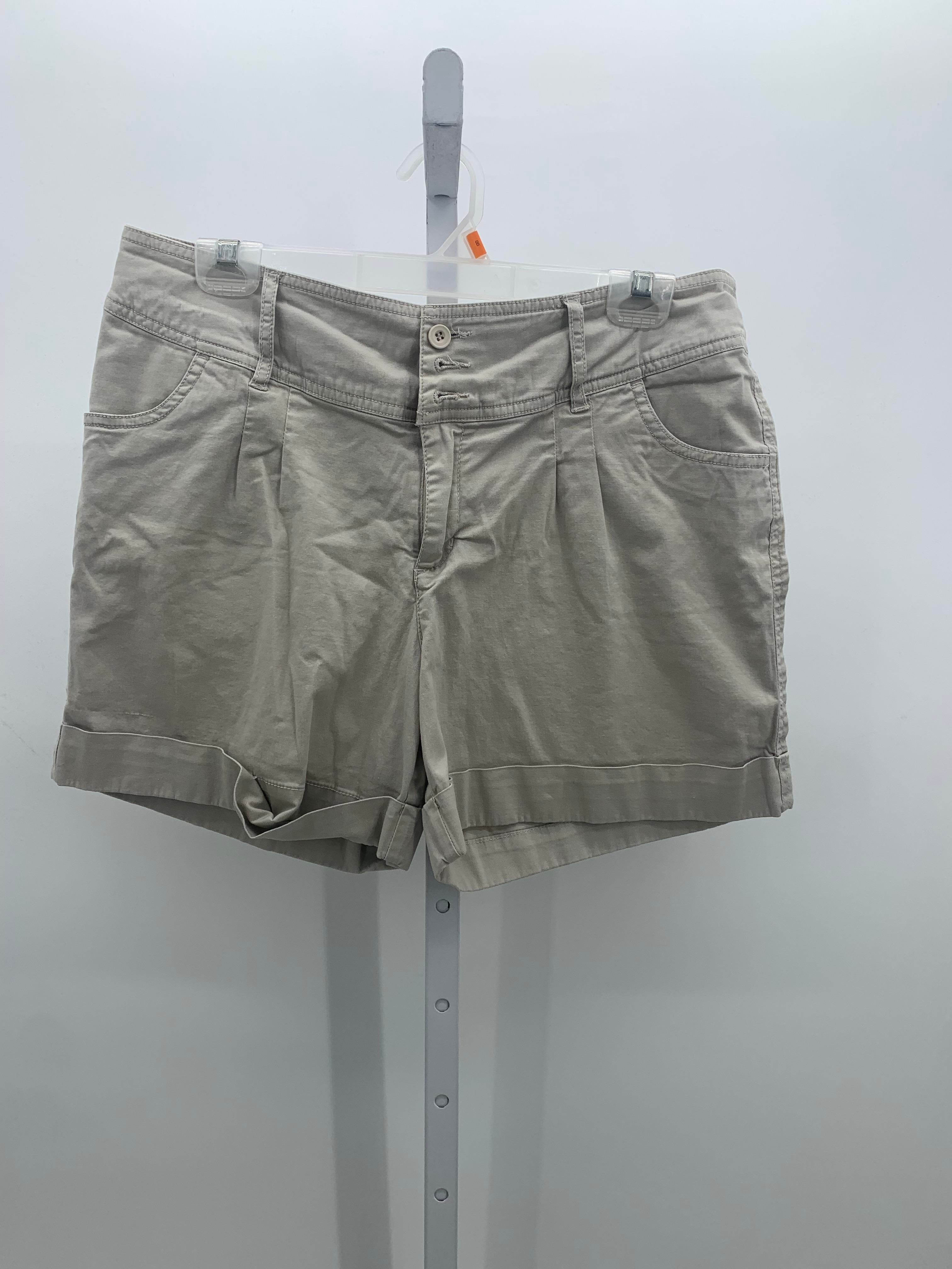 Dress Barn Size 12 Misses Shorts
