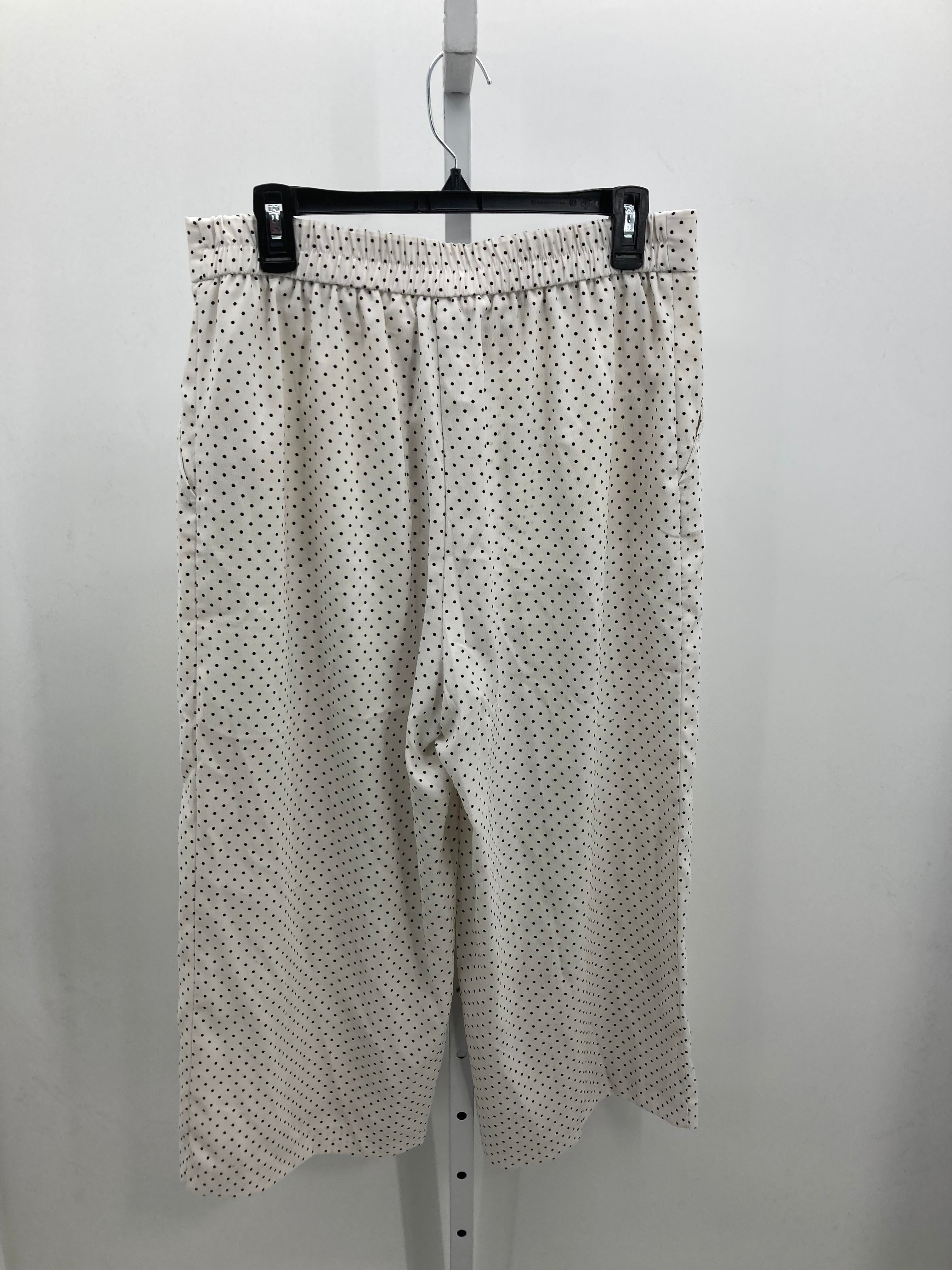 Size 10 Misses Pants