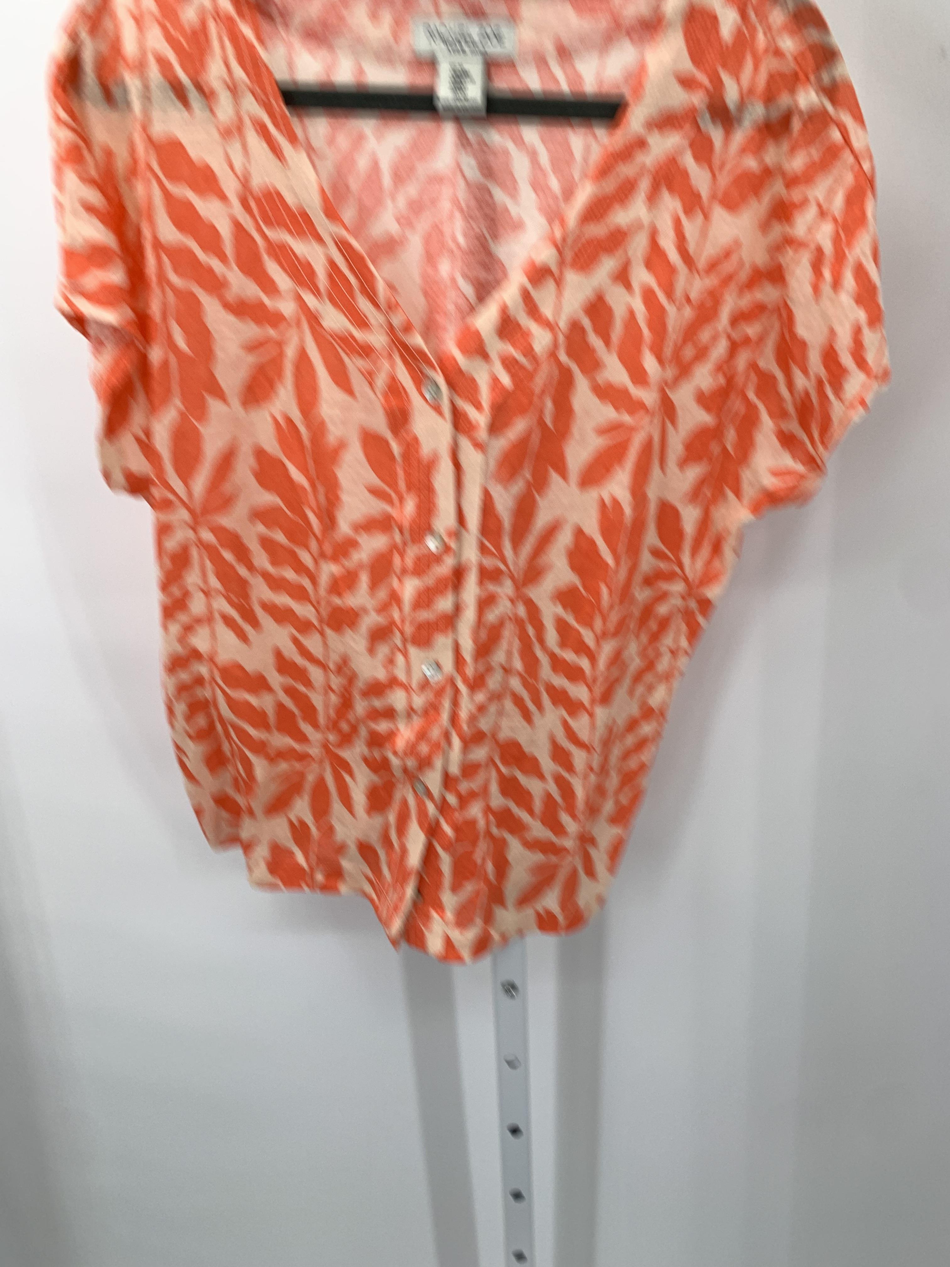 Rachel Zoe Size Medium Misses Short Sleeve Shirt
