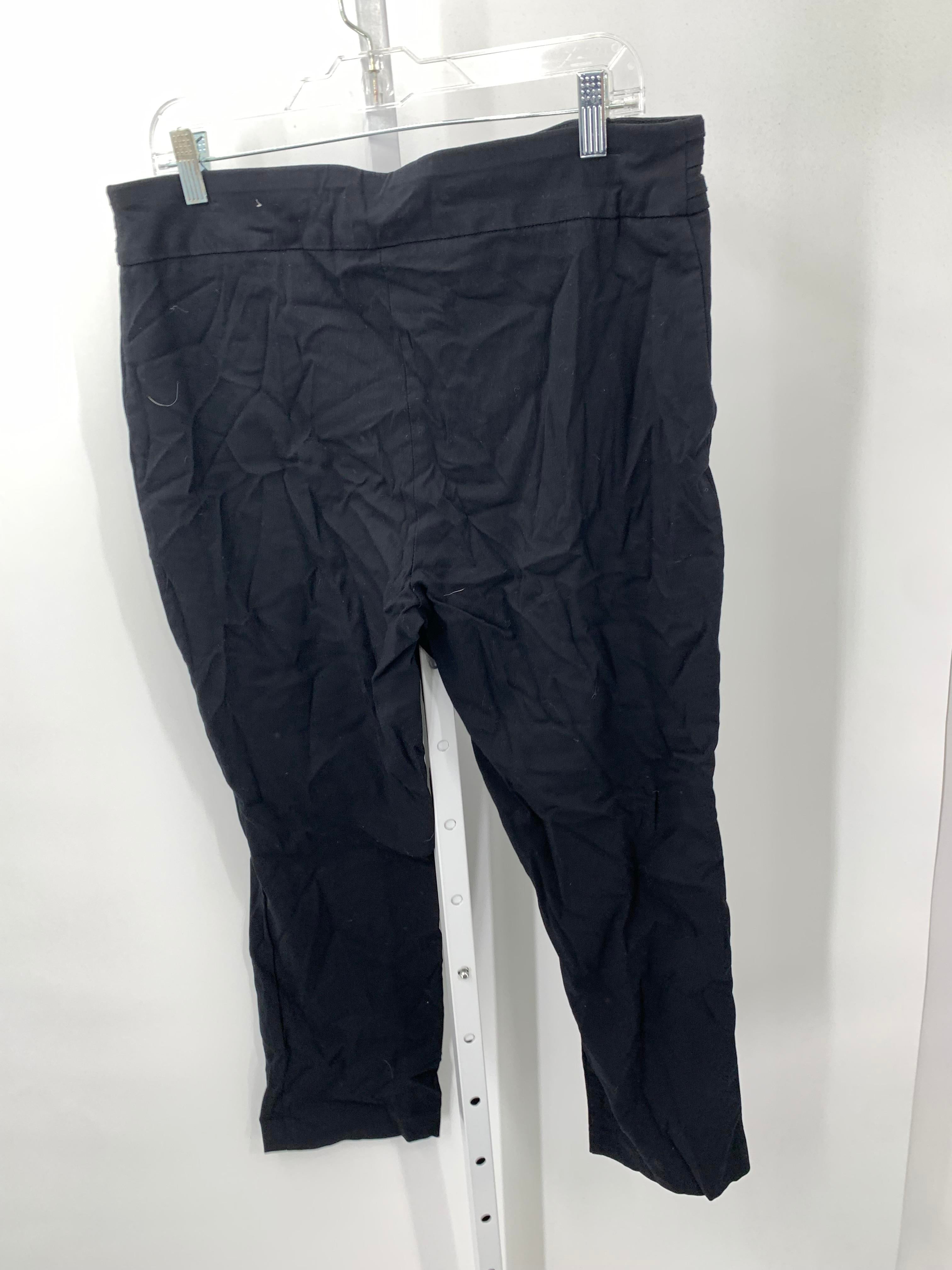 JM Collection Size X Large Petite Petite Pants