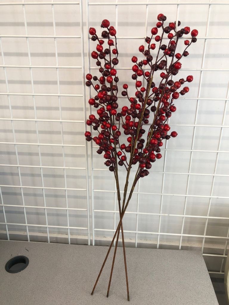 3 RED BERRY STEMS.