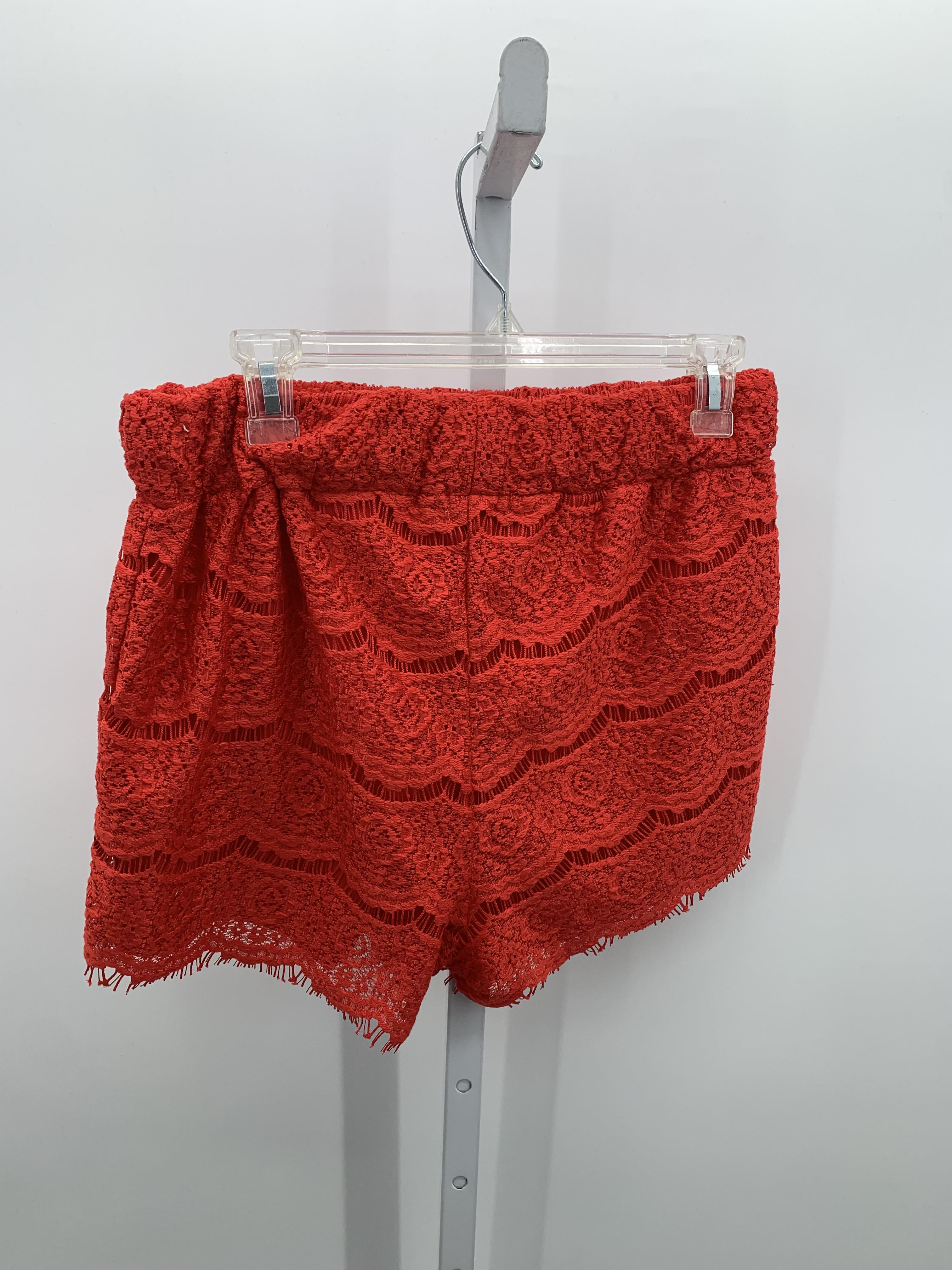 Charlotte Russe Size Large Juniors Shorts
