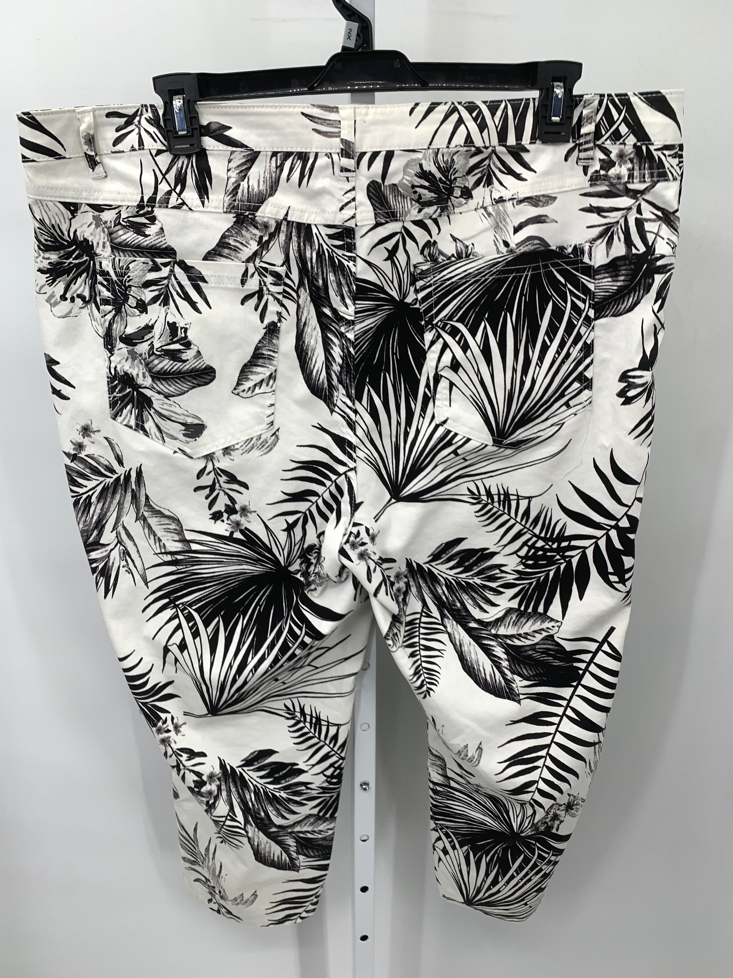 Size 24 W Womens Cropped Pants