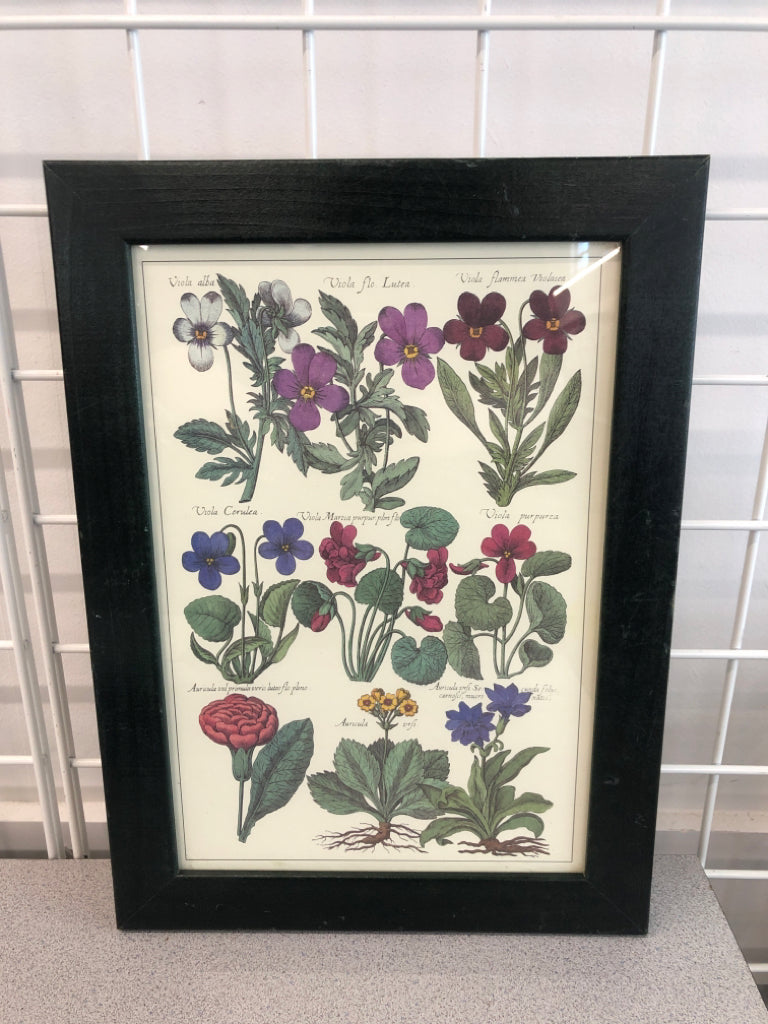 VIOLA FLOWERS PRINT IN GREEN WOOD FRAME.